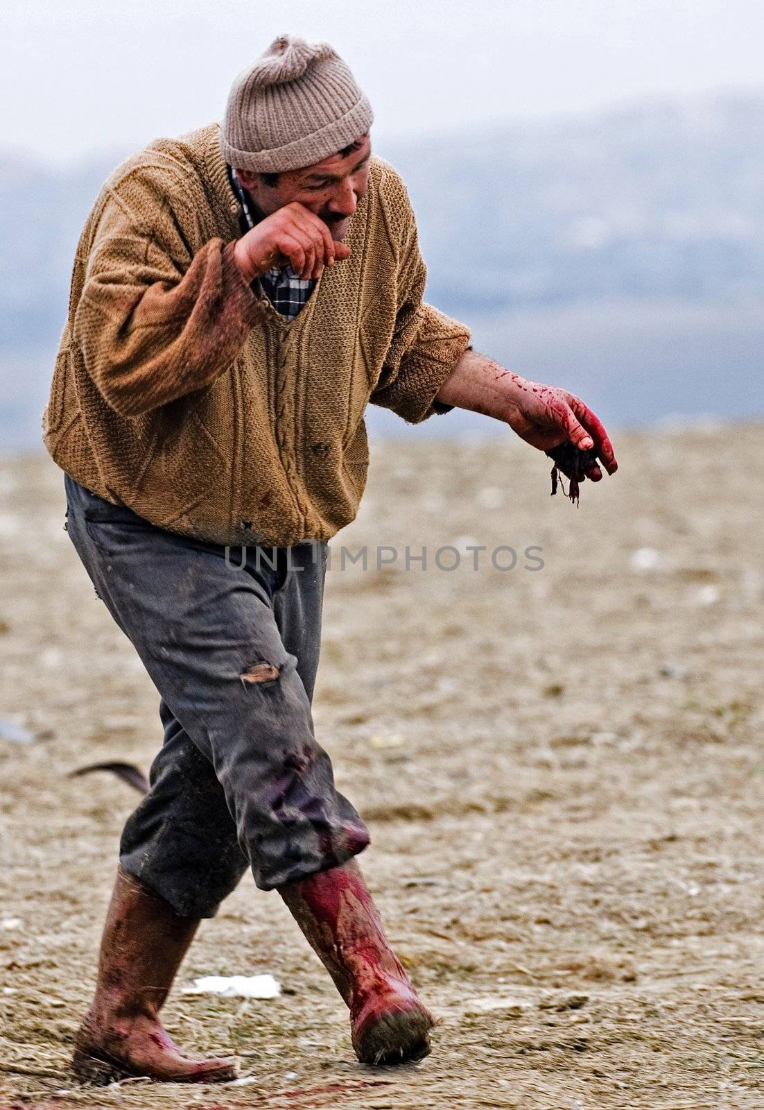 Turkish butcher after the slaughter in the "kurban bayram"