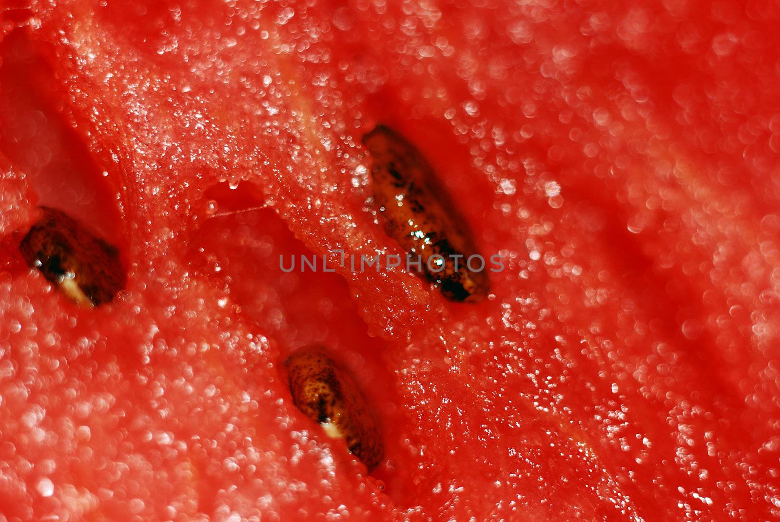 fruit macro shots