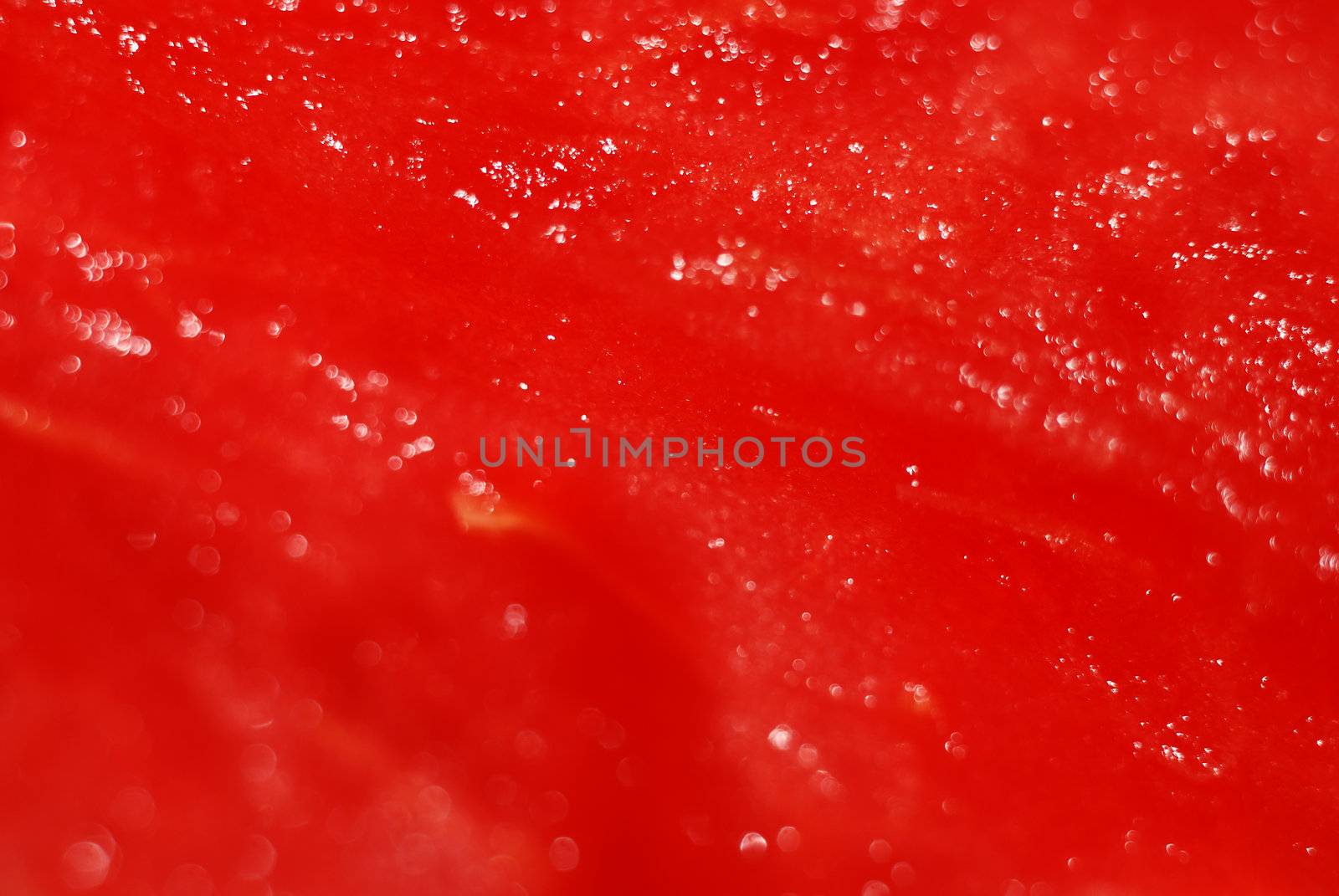 watermelon by verbano