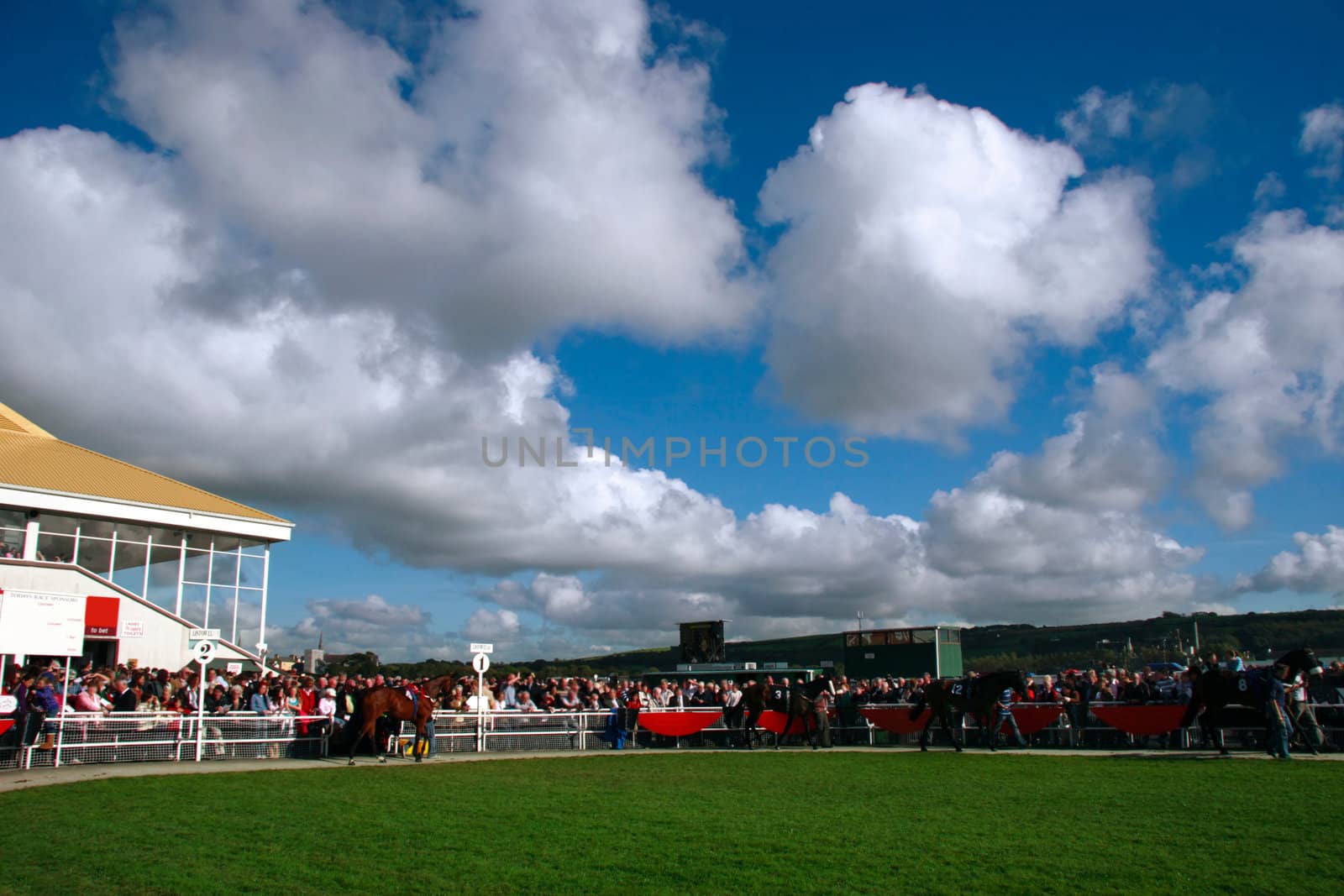 a wet day at the horse races