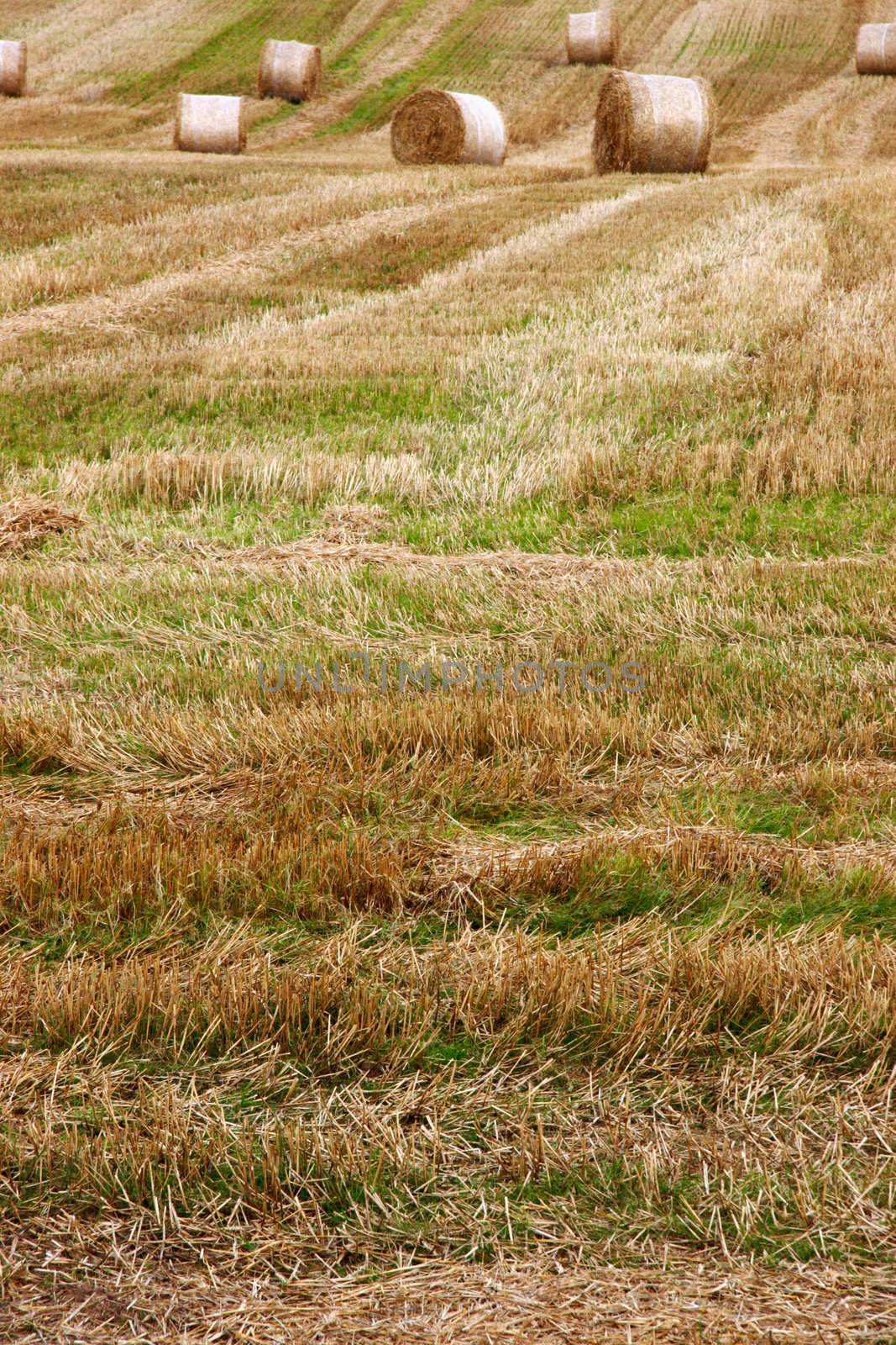 a scenic view in the irish countryside