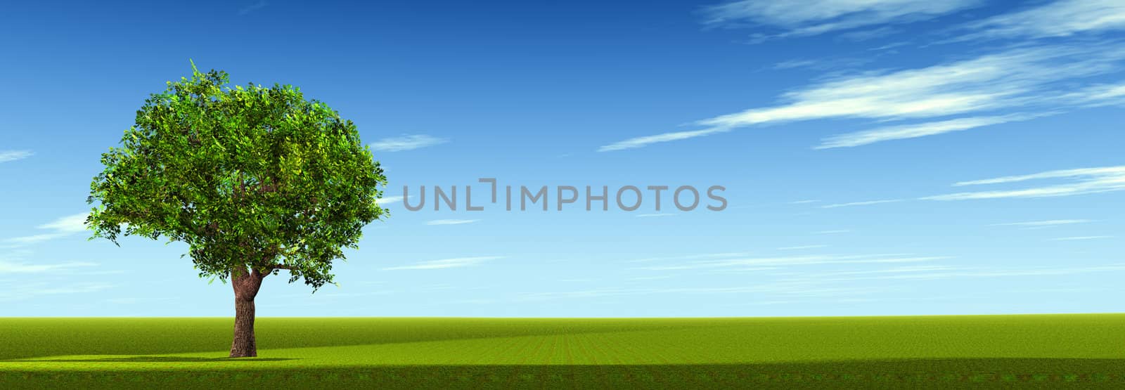 Tree on field. The bright blue sky. 3D