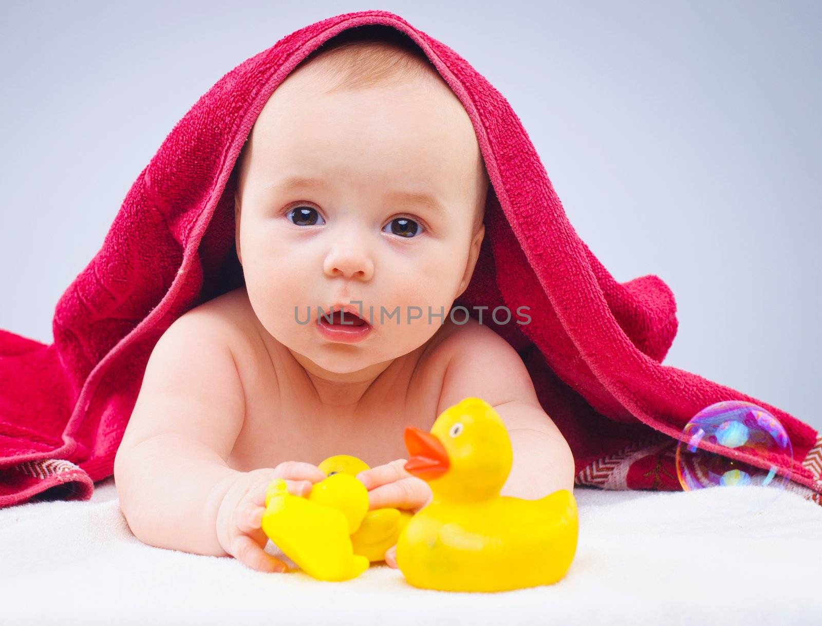 Eight month baby girl playing with rubber duck in studio.