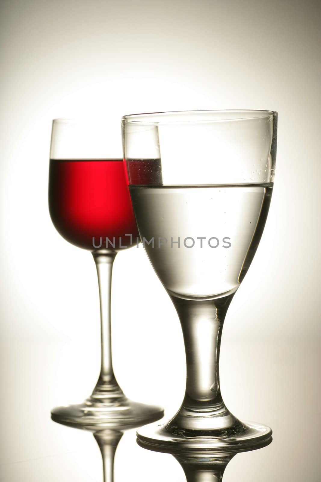Wine collection  Red wine in glass studio shot