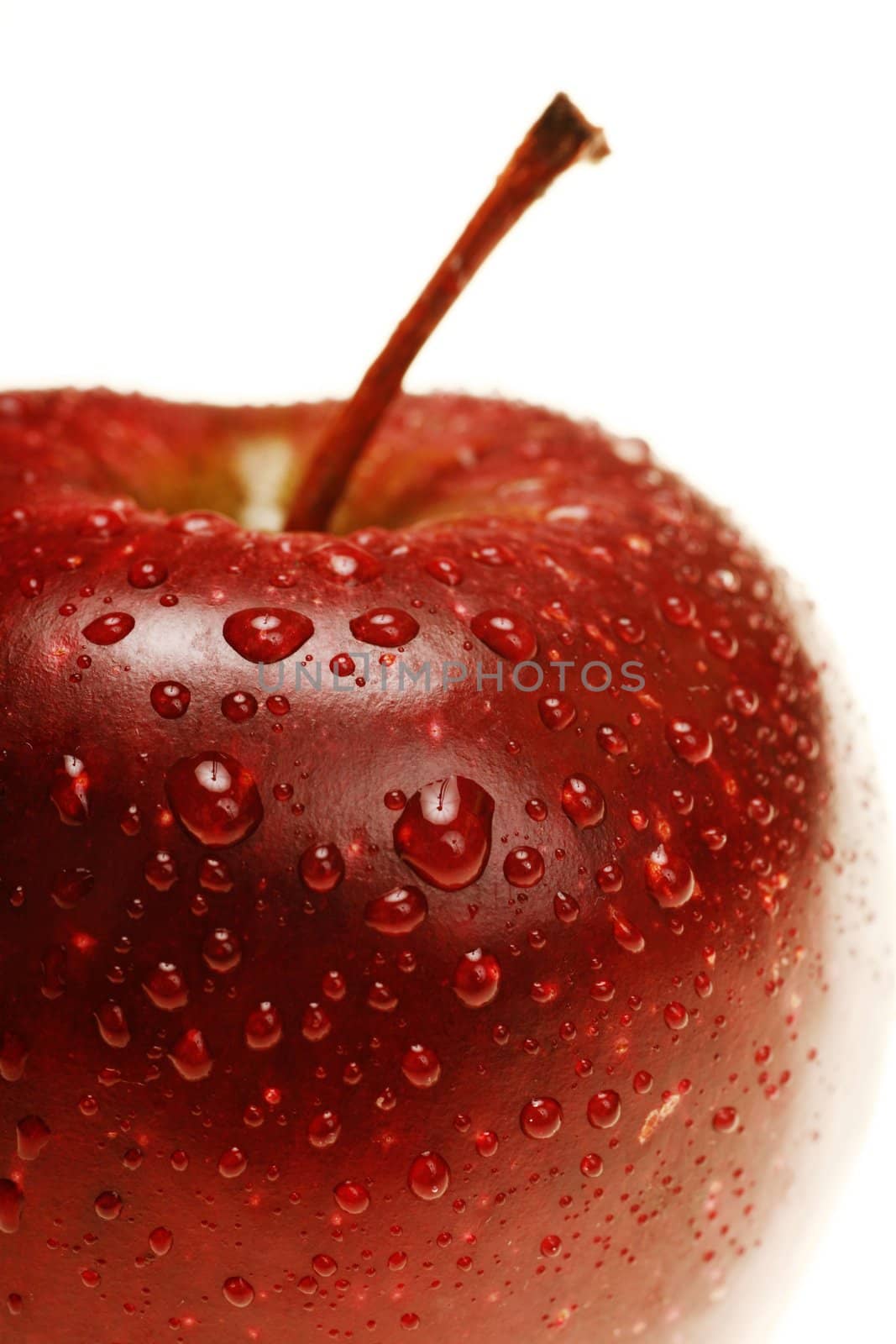 Apple with waterdrops strong backlit shallow DOF...........