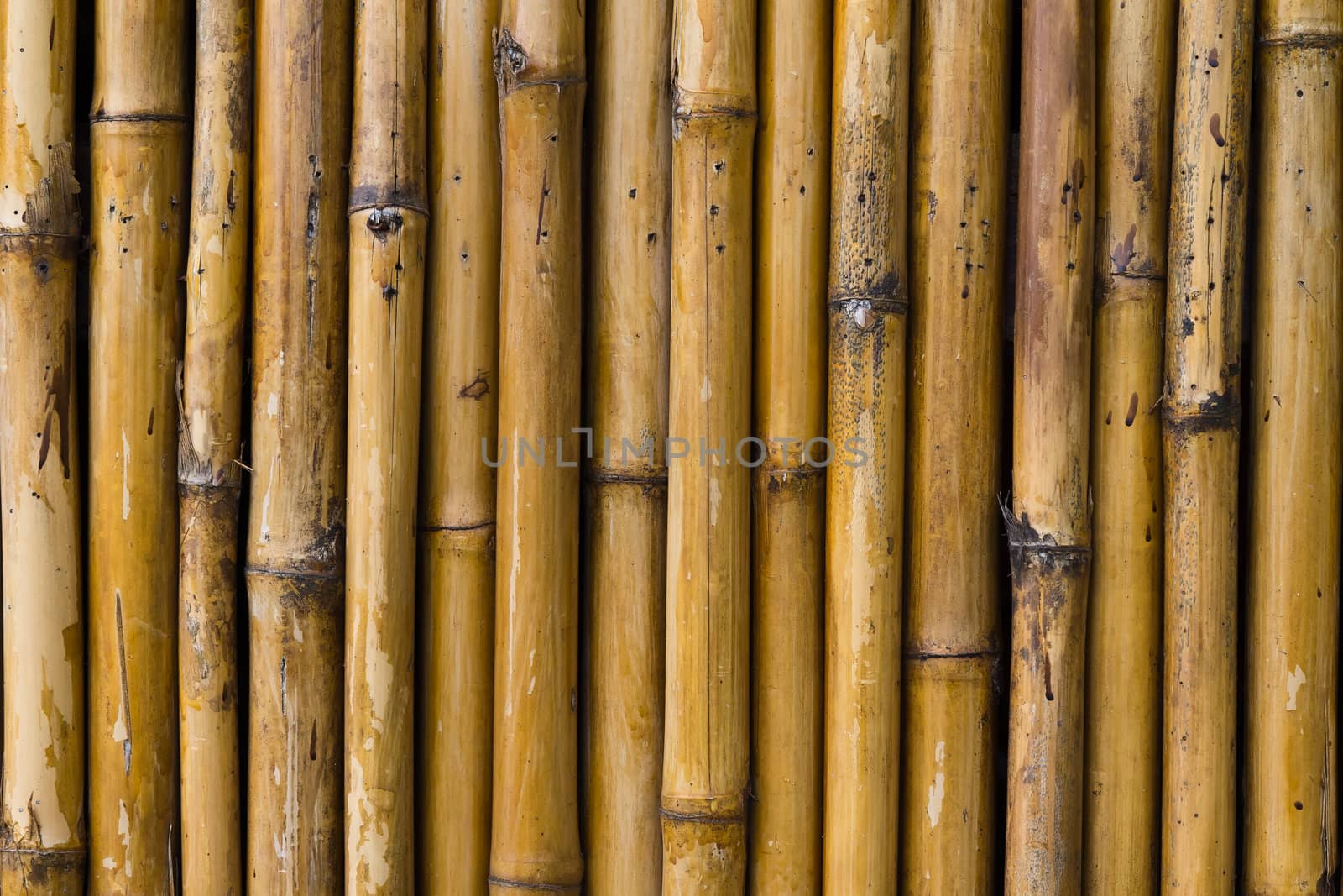 Bamboo walls with unique patterns.