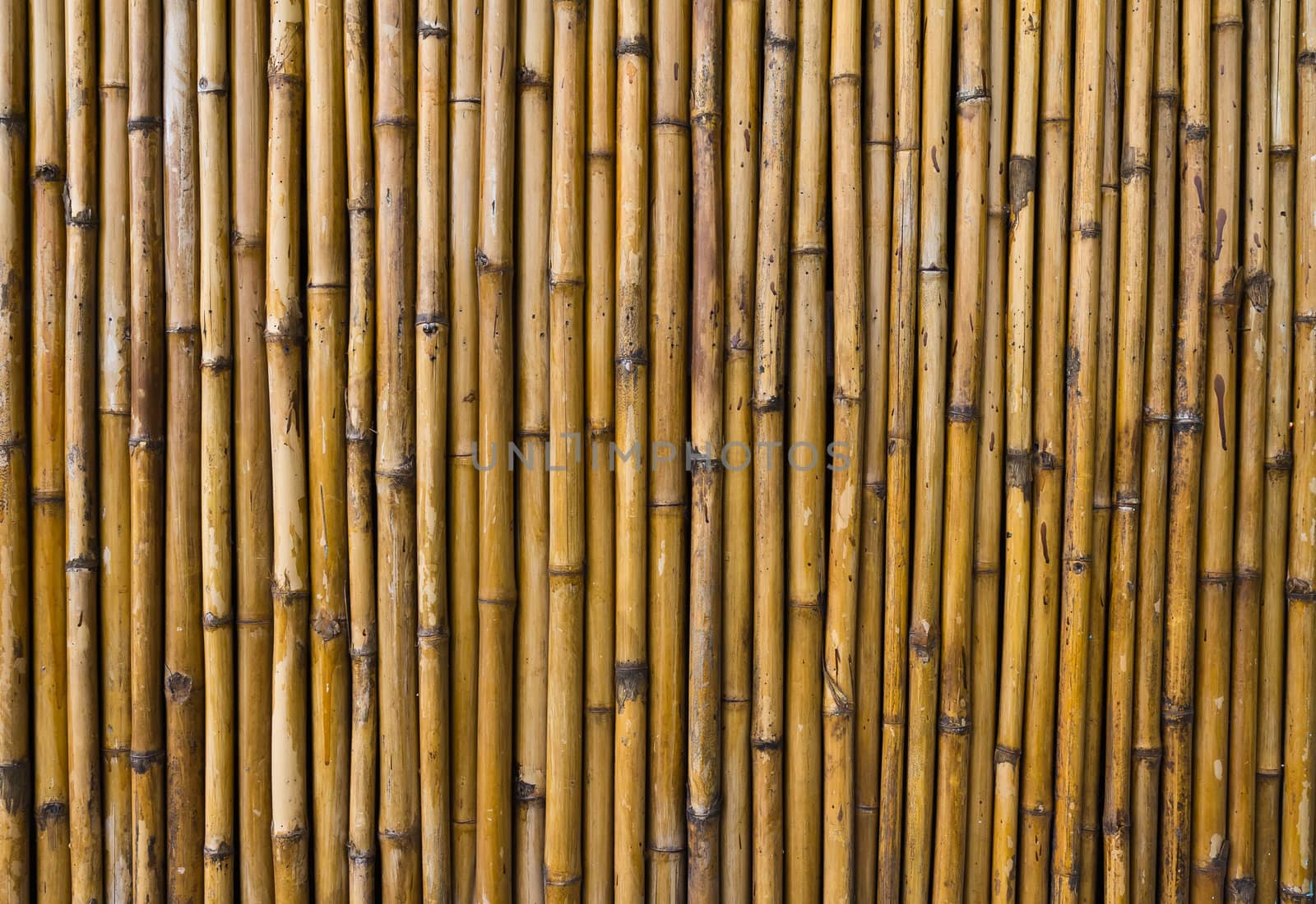 Bamboo walls with unique patterns.