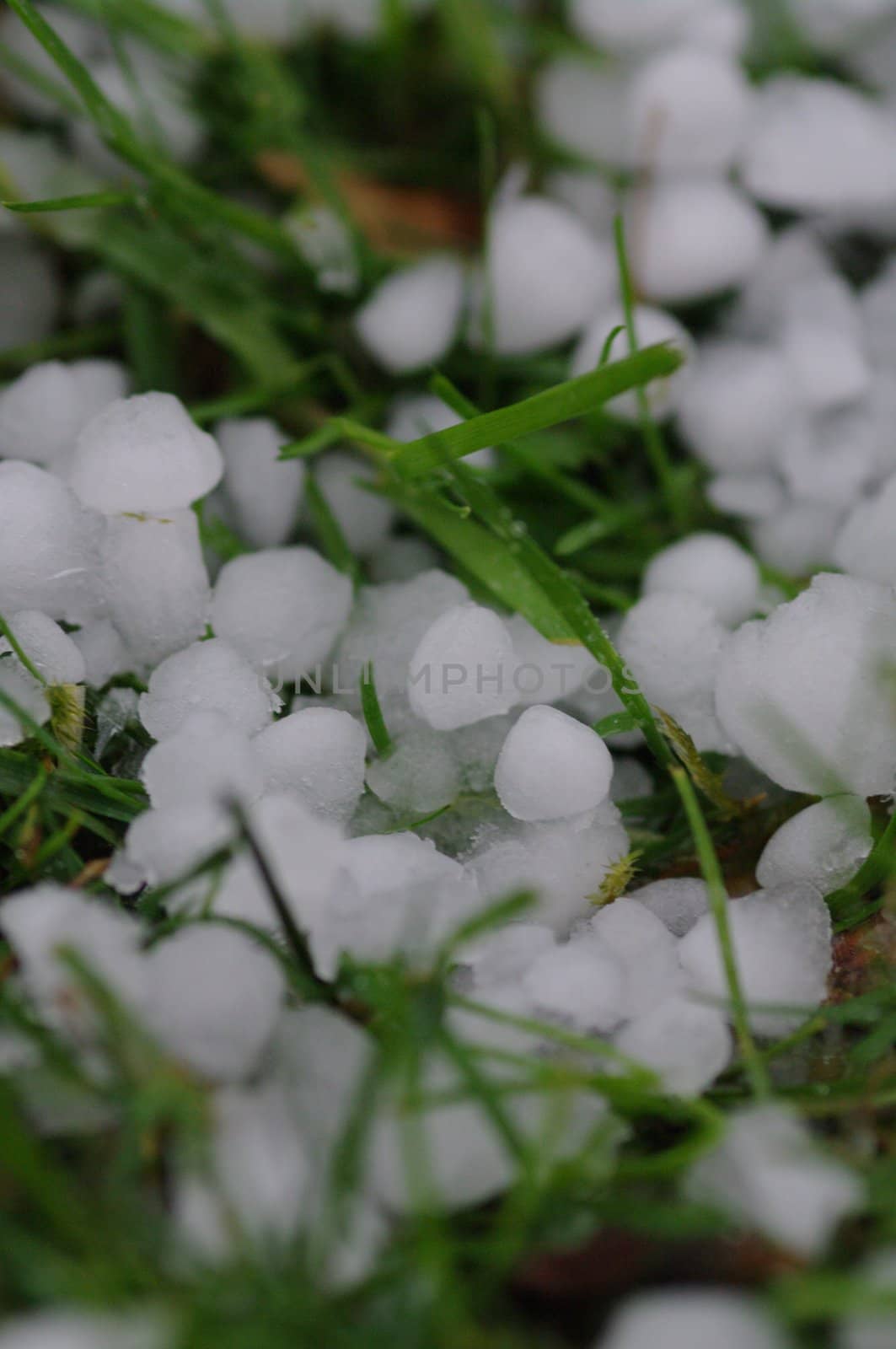 hail balls on the ground