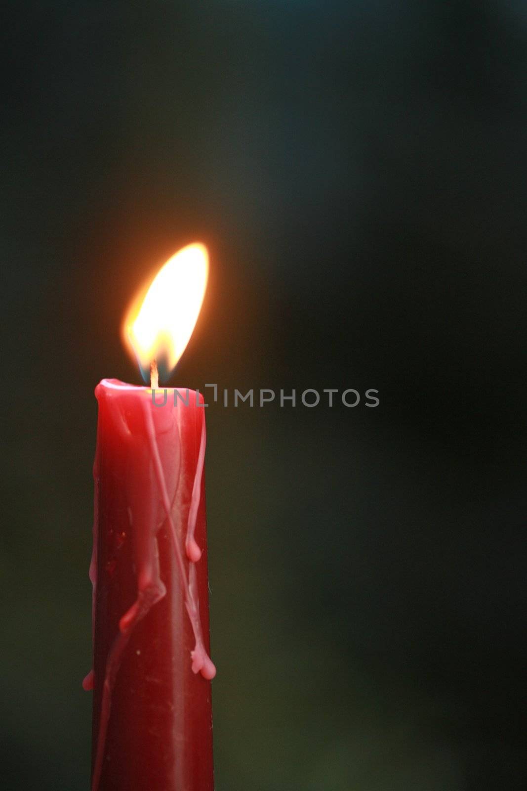 candles in snow