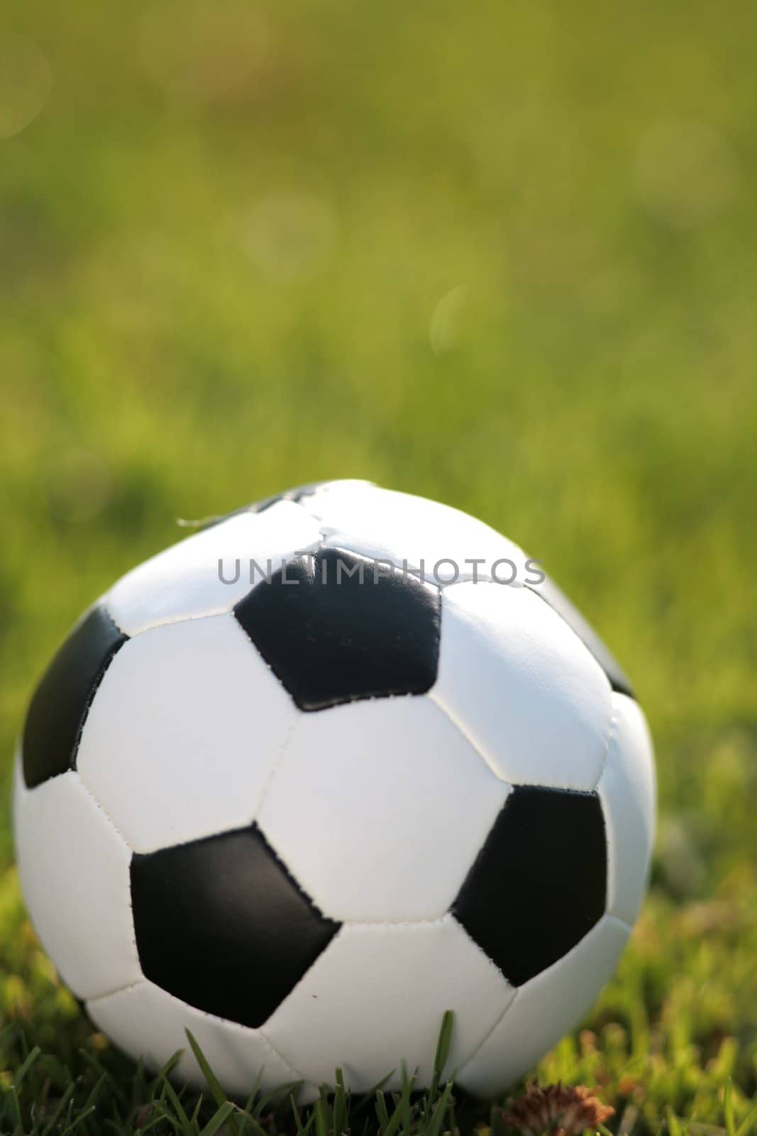 football in the grass