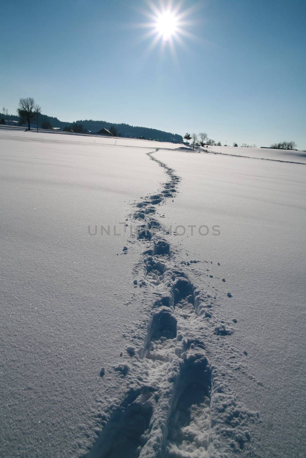 Footprints in the snow Tracks in the snow............