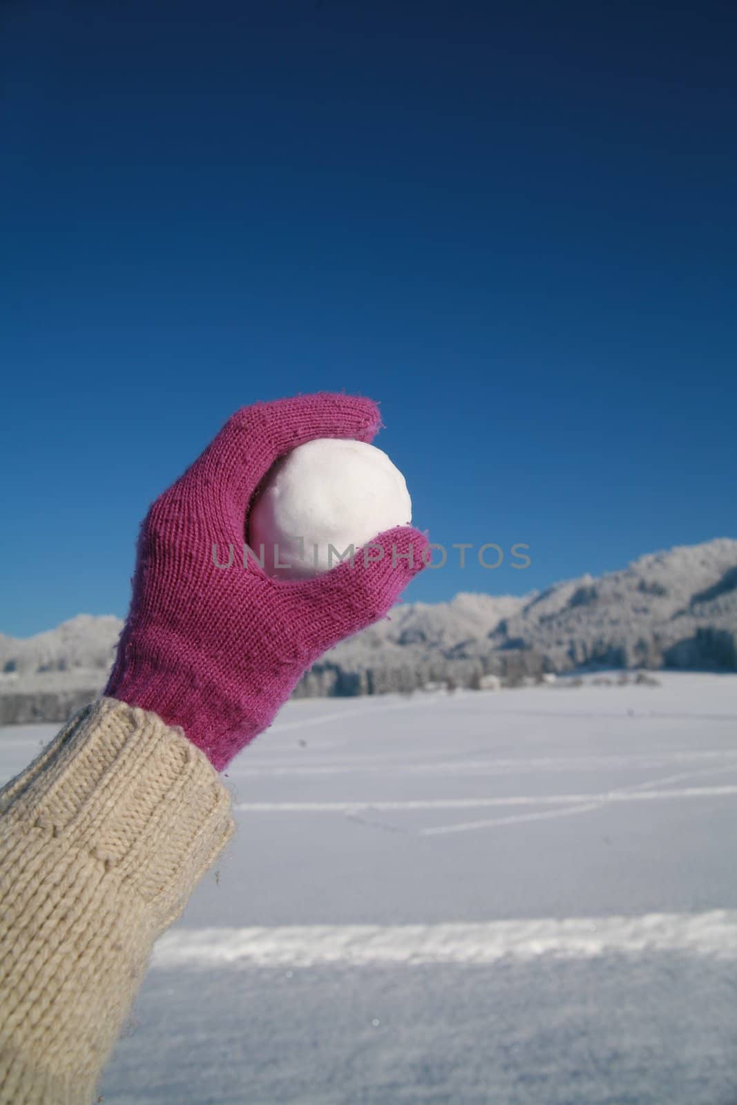 happy snow ball fight in winter time