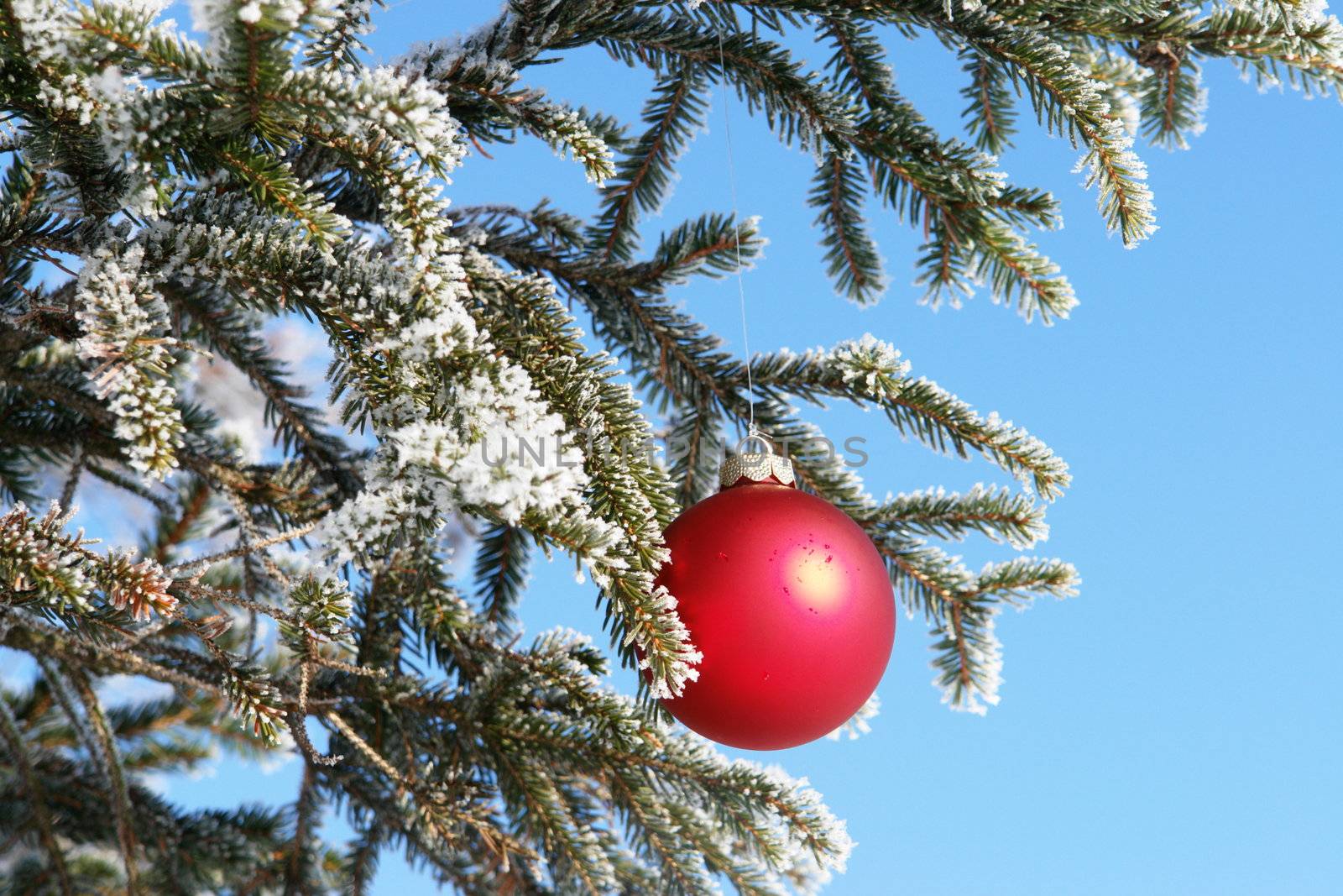 a red bauble in snowy winter landscape