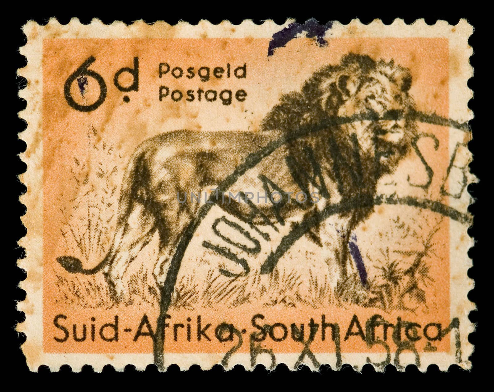 Vintage cancelled postage stamp with lion illustration. South Africa, Johannesburg, 1958.