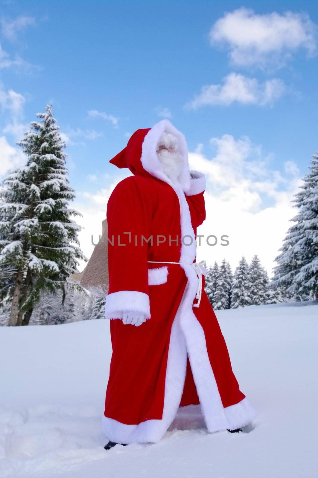 Santa Claus, Father Christmas in a beautiful winter landscape