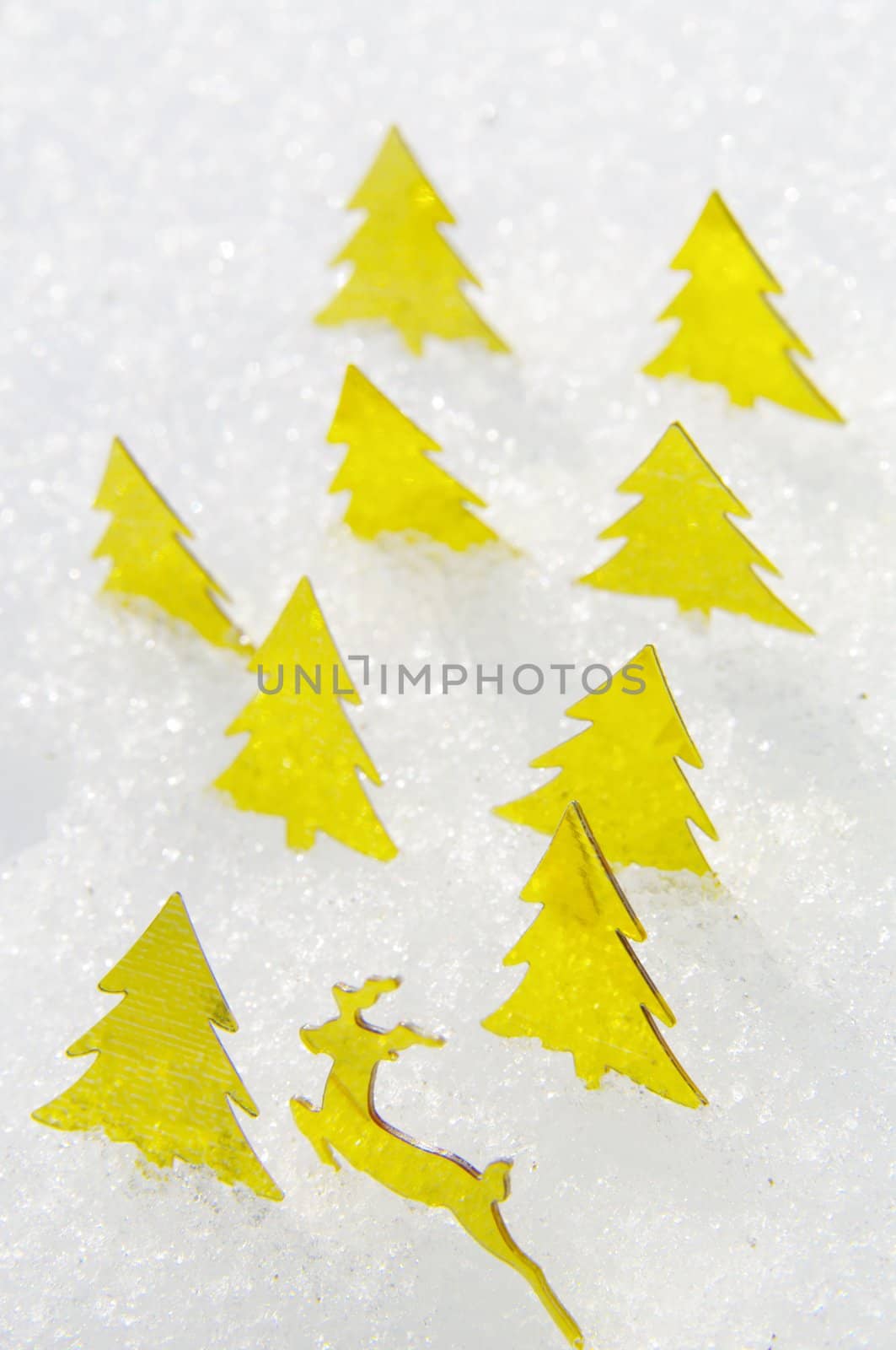 golden trees on a real snowy icy surface