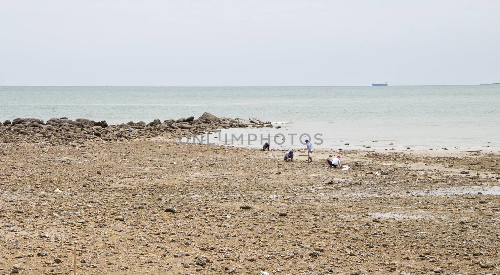 Beaches, rocky areas. The sea east of Thailand.