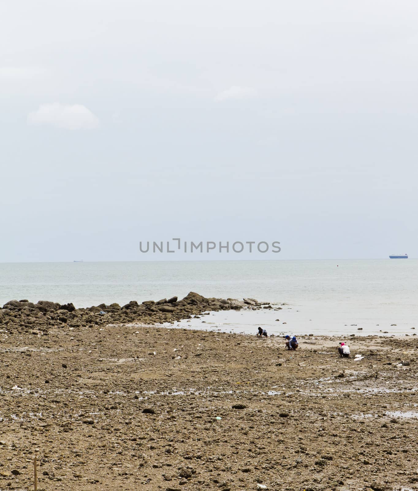 Beaches, rocky areas. The sea east of Thailand.