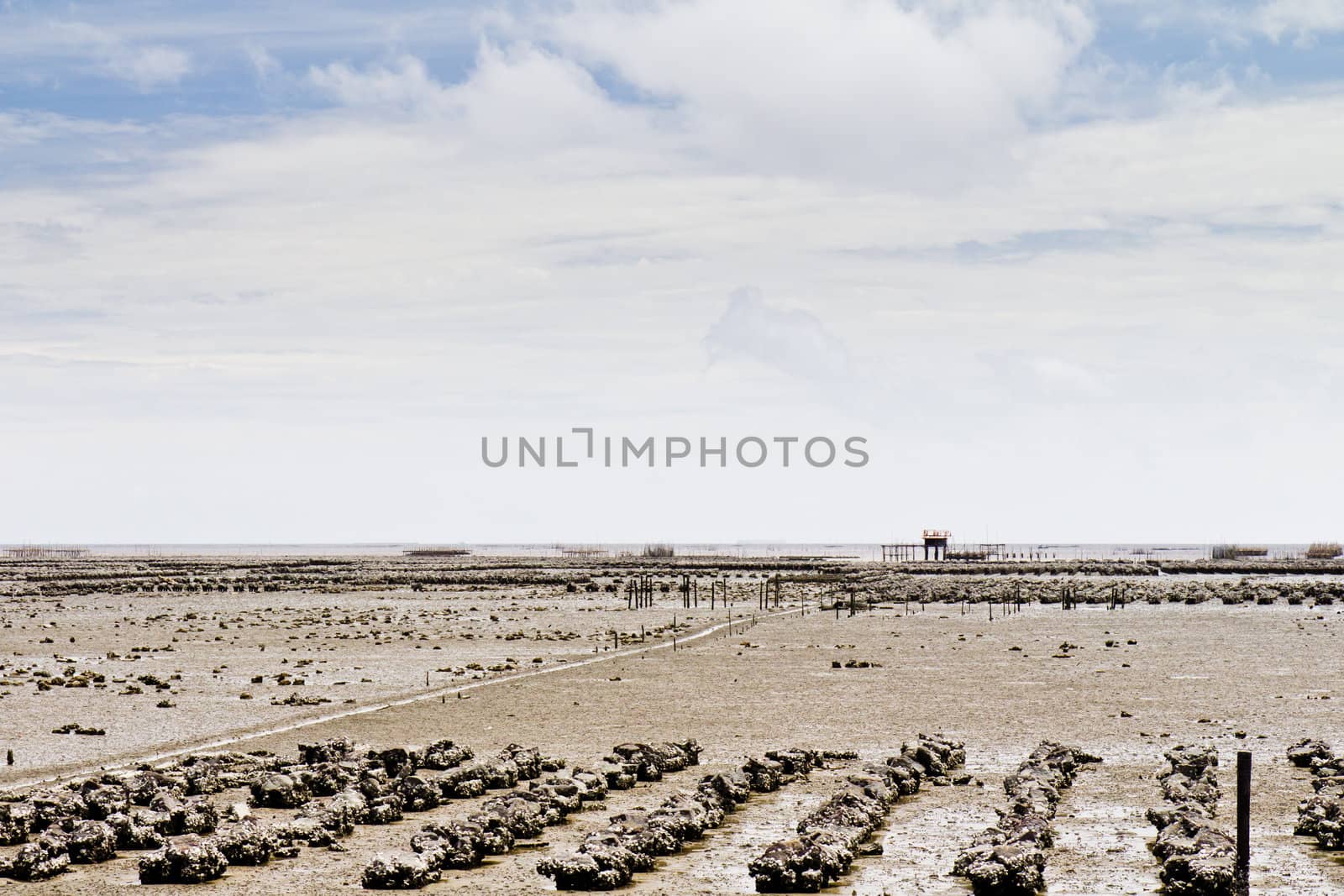 Beaches, rocky areas. The sea east of Thailand.