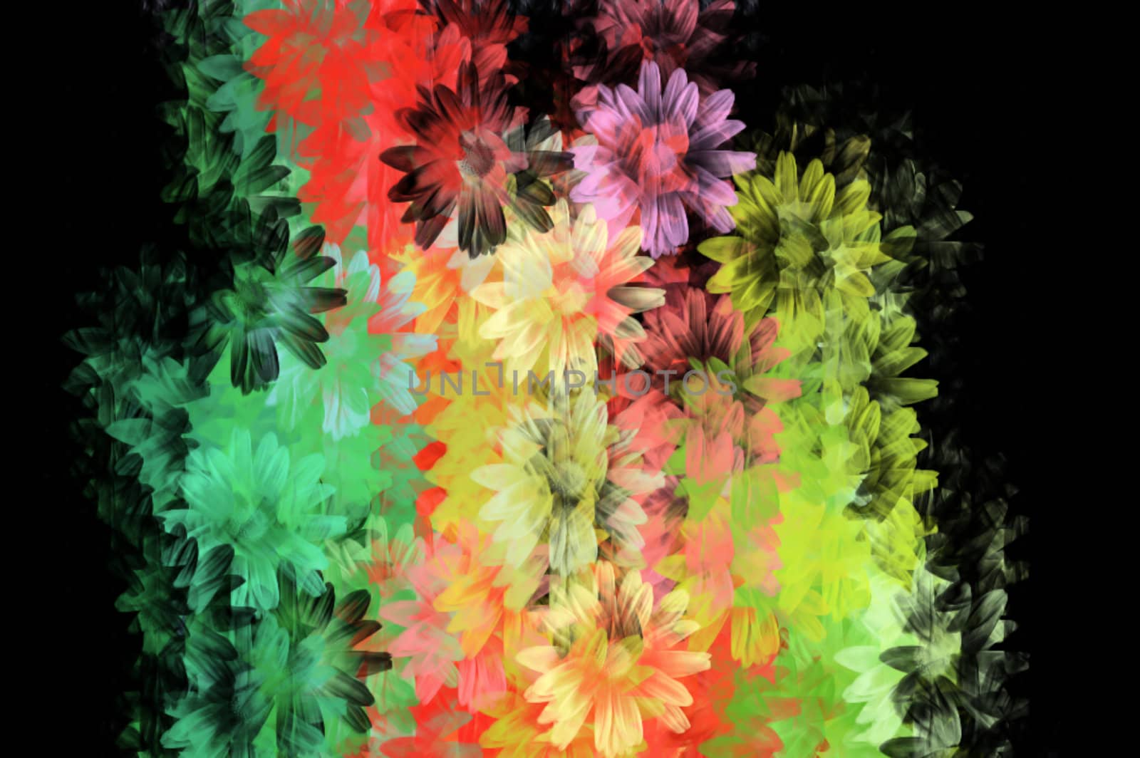 Colorful daisies grunge floral pattern. Digitally created background illustration.