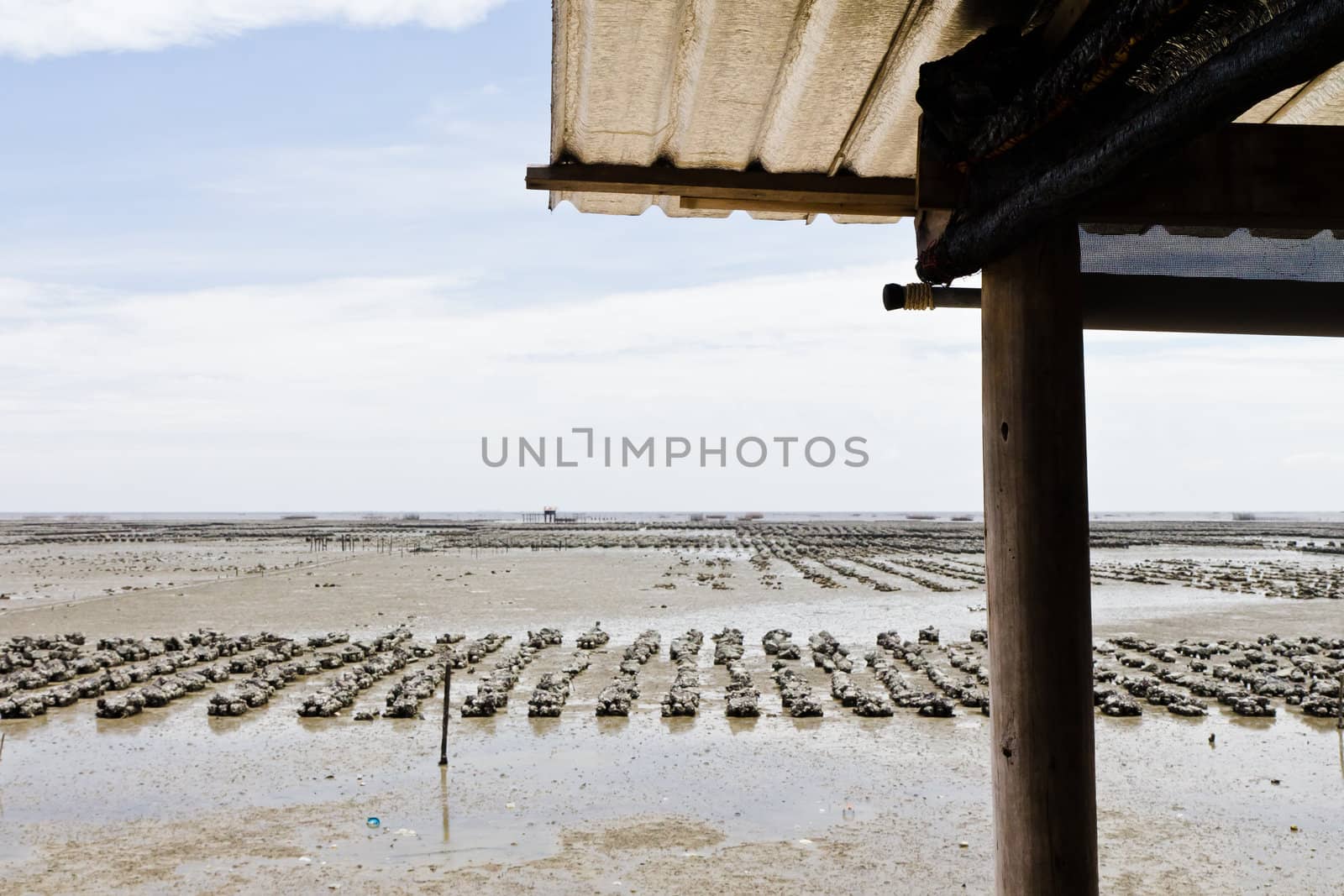 Roof at the seaside in the daytime.