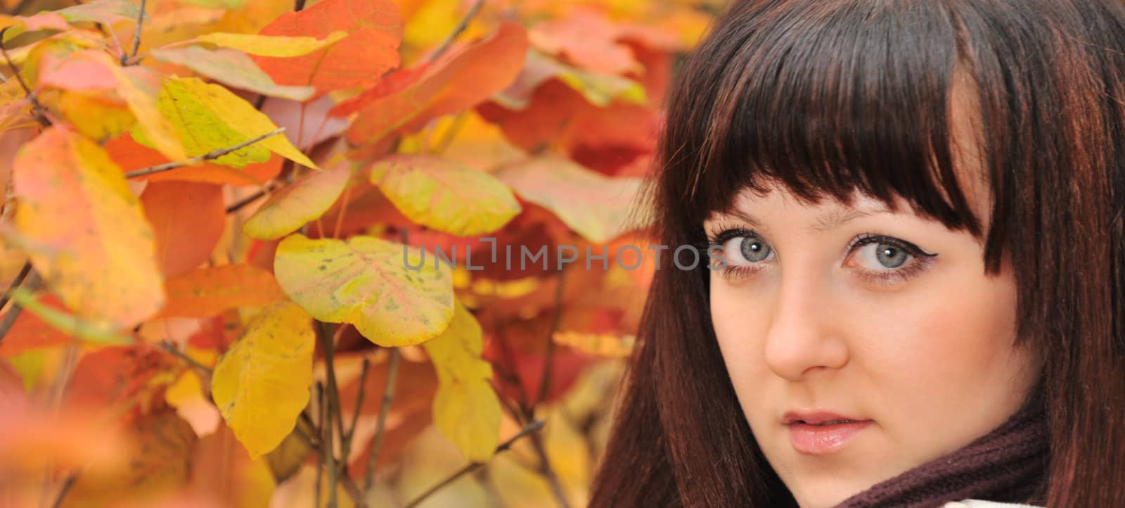 The girl in an autumn forest. The European appearance