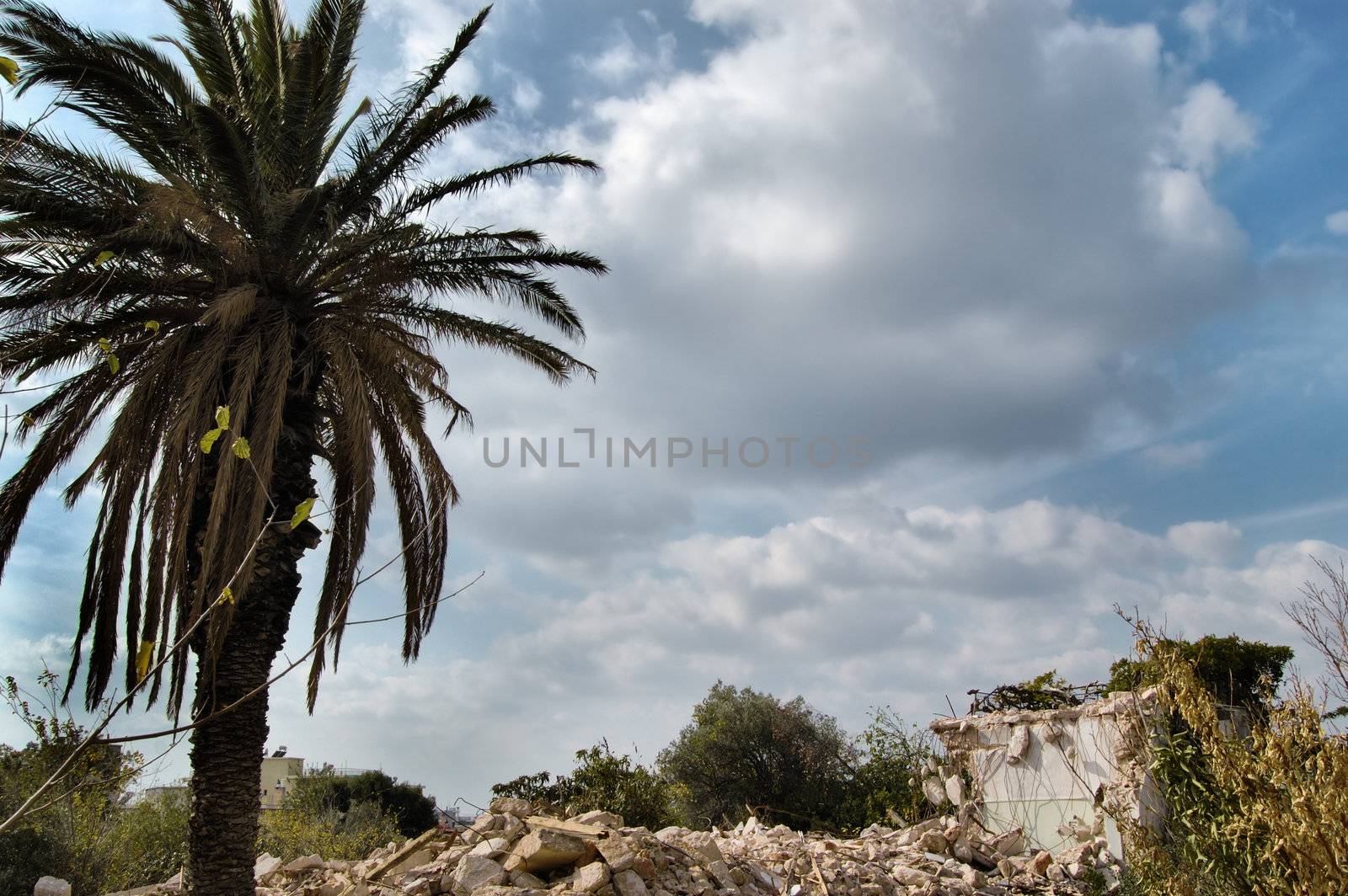 Pile of rubble from demolished house and palm tree.