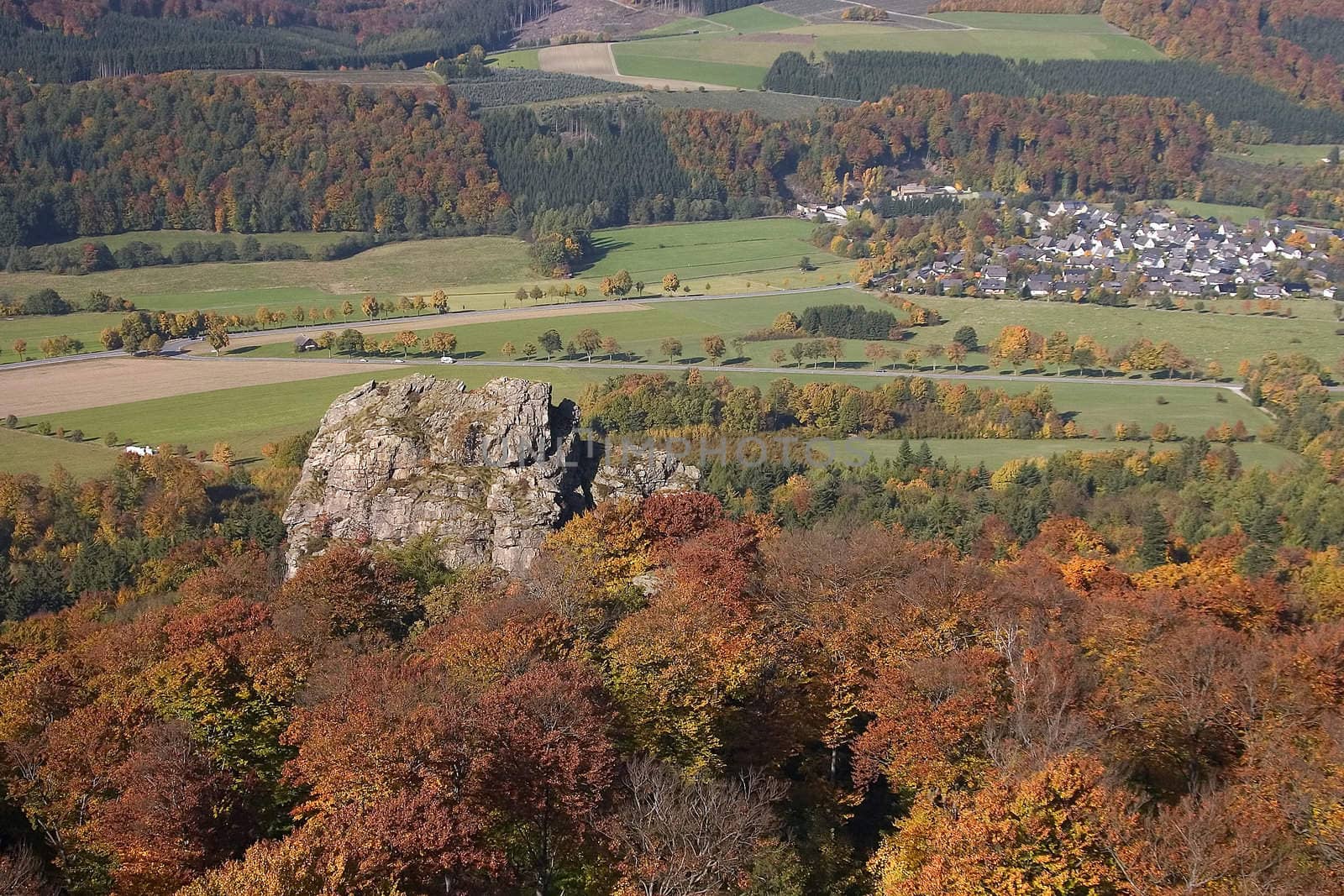 the autumn landscape with colorful fores