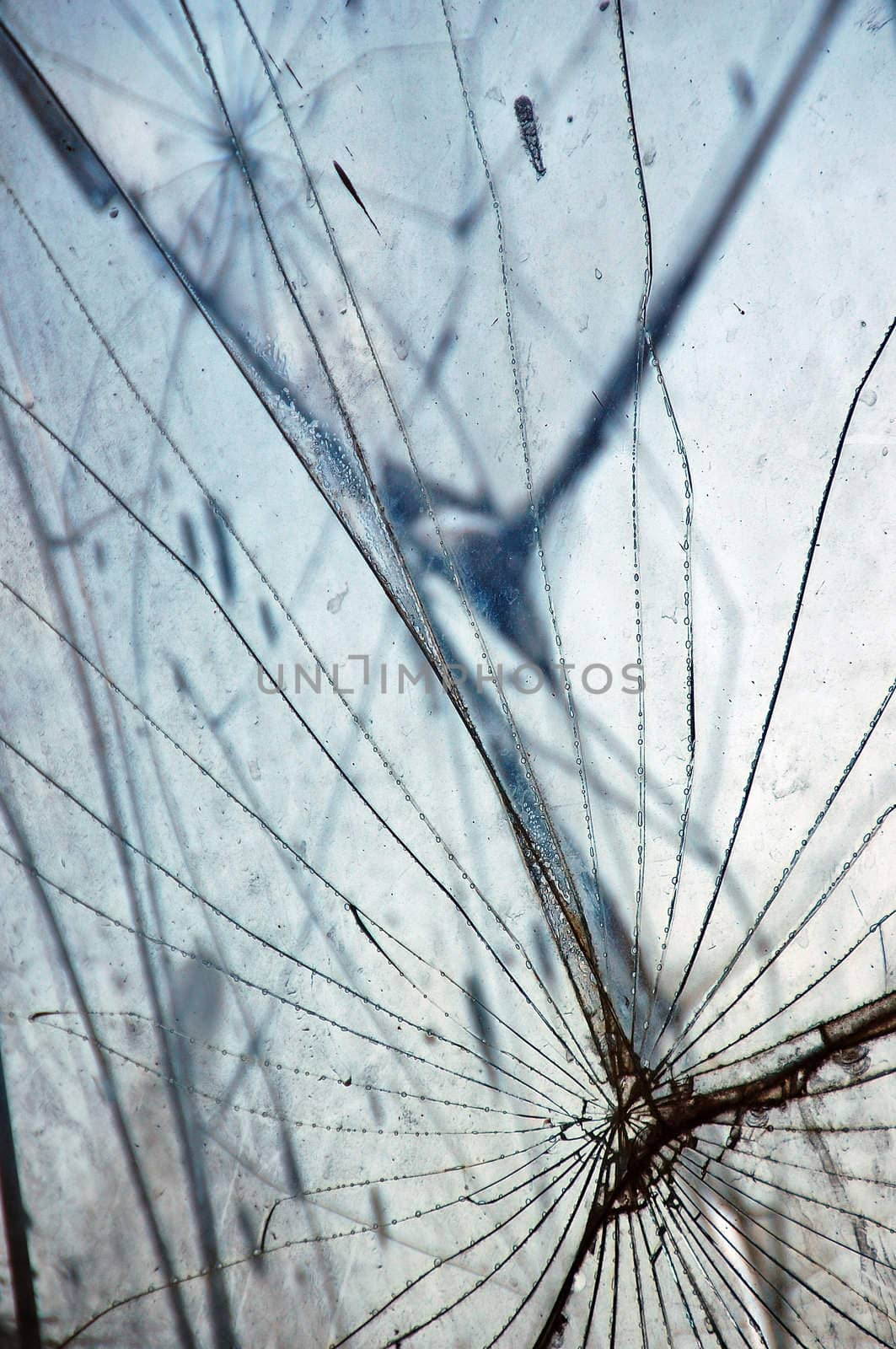 Shattered glass fragments surface texture. Abstract background.