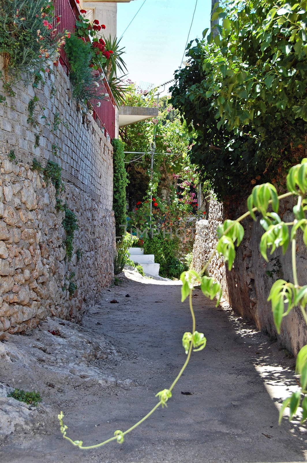 Narrow road and traditional houses in Keri village, island of Zakynthos, Greece.