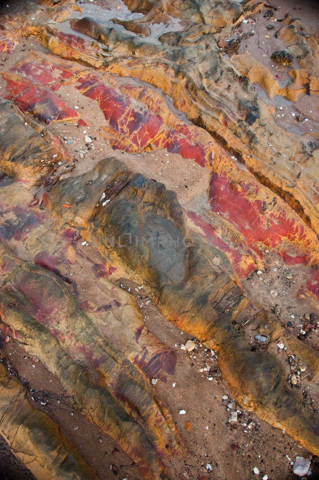 sand on a tropical beach, australia