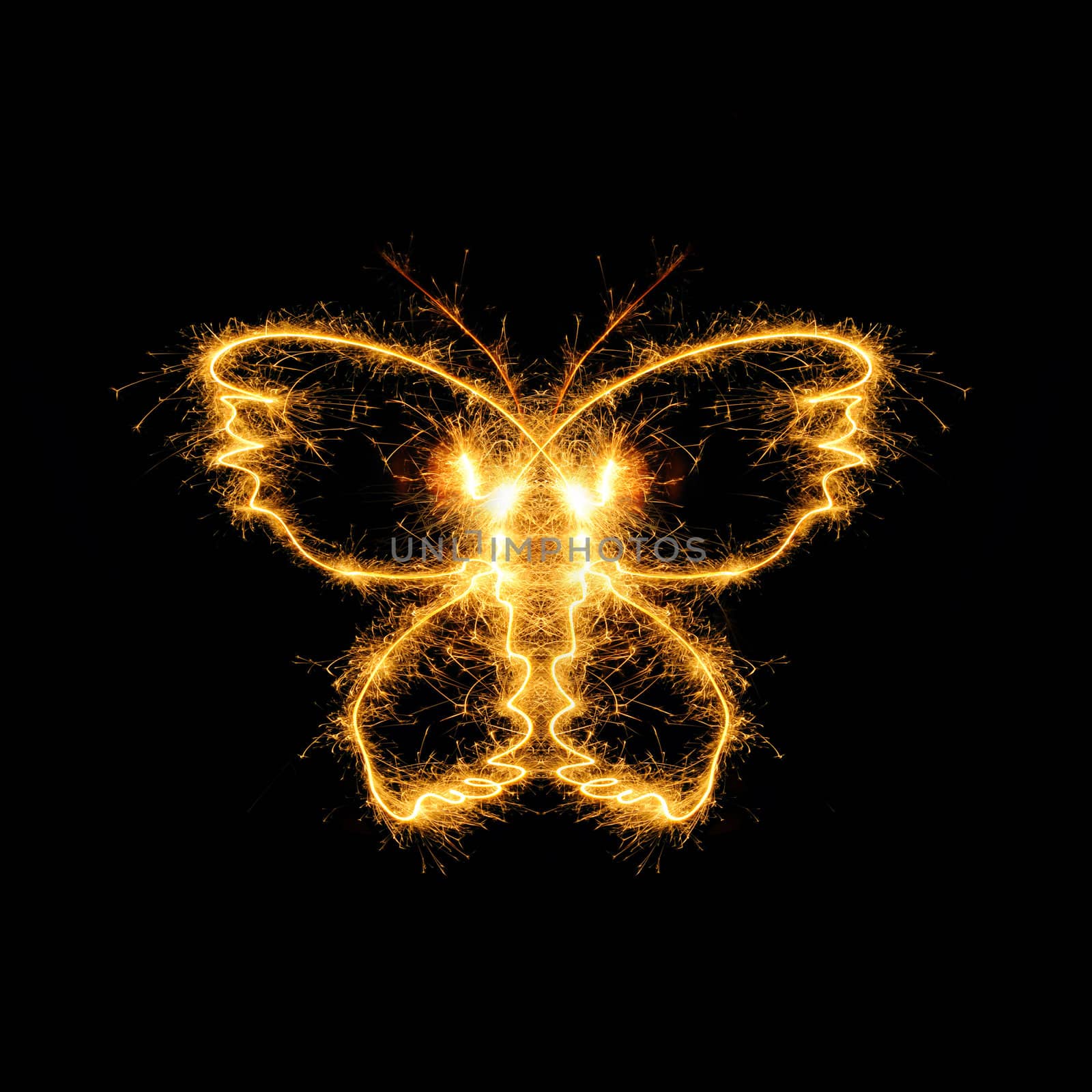 The butterfly from bengal fires. Abstract the image of an animal sparks of fire