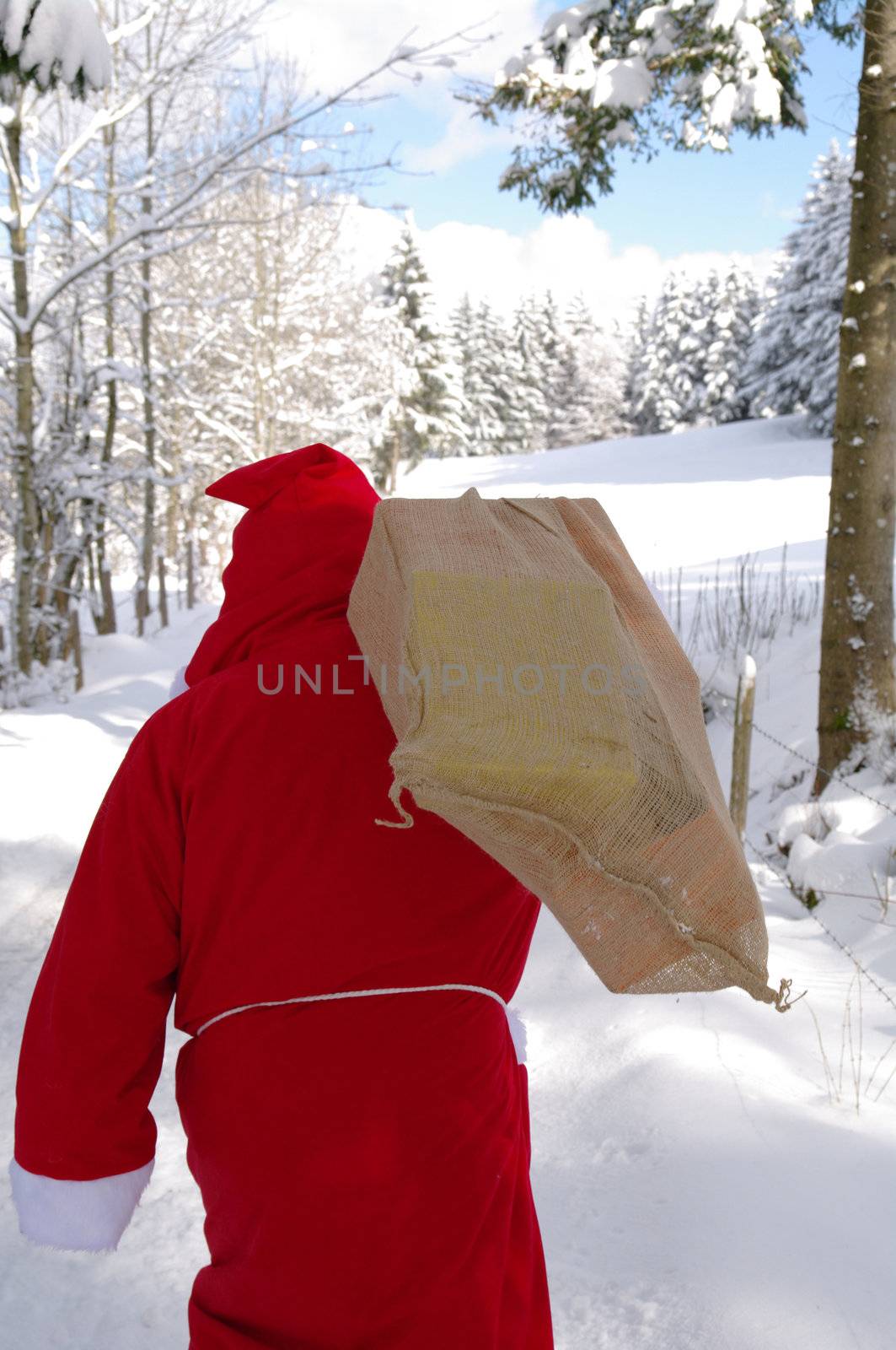 Santa Claus, Father Christmas in a beautiful winter landscape