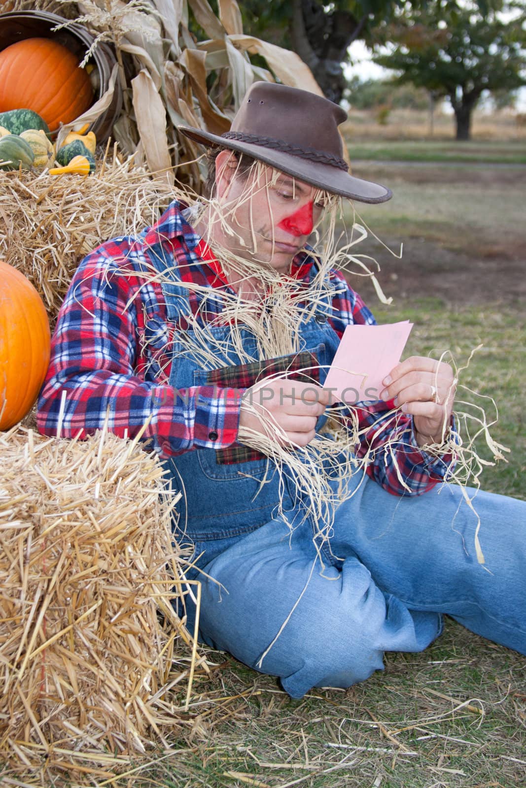 scarecrow with pink slip by MaryHathaway
