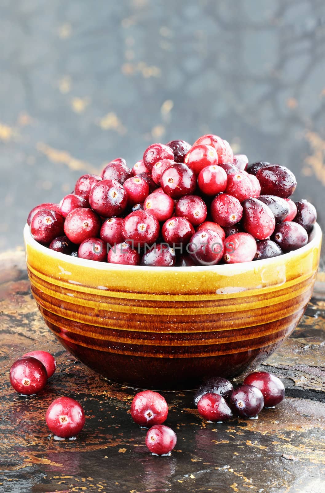 Freshly washed whole cranberries against a rustic background with selective focus.  Room for copy space.