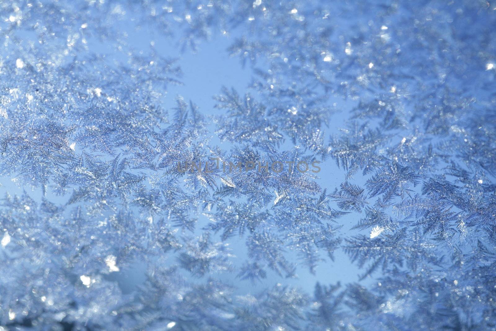 evening blue frost pattern texture on the glass