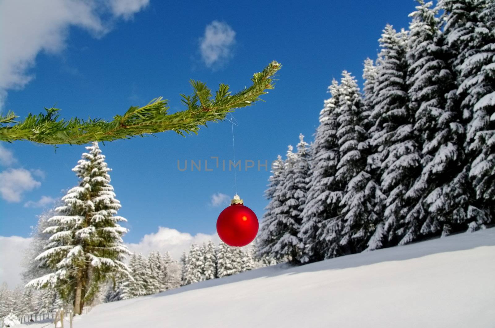 a red bauble in a winter landscape