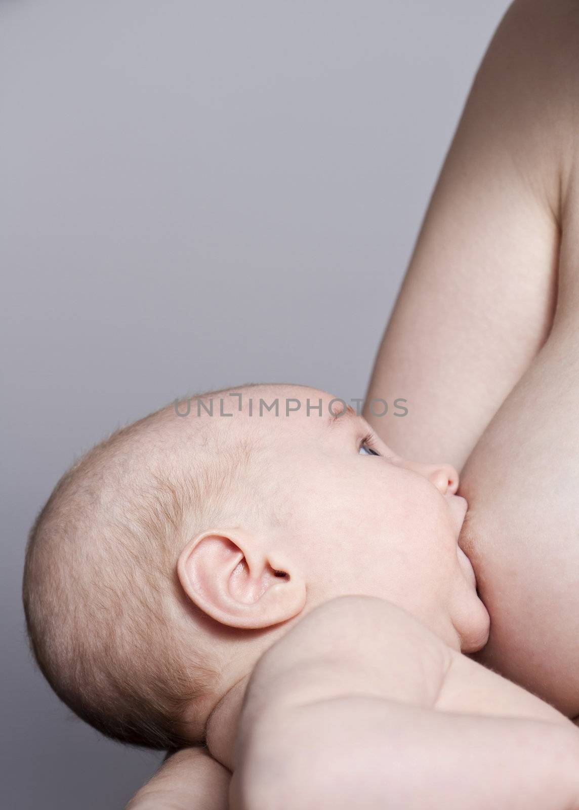 breast feeding a nursling in grey background
