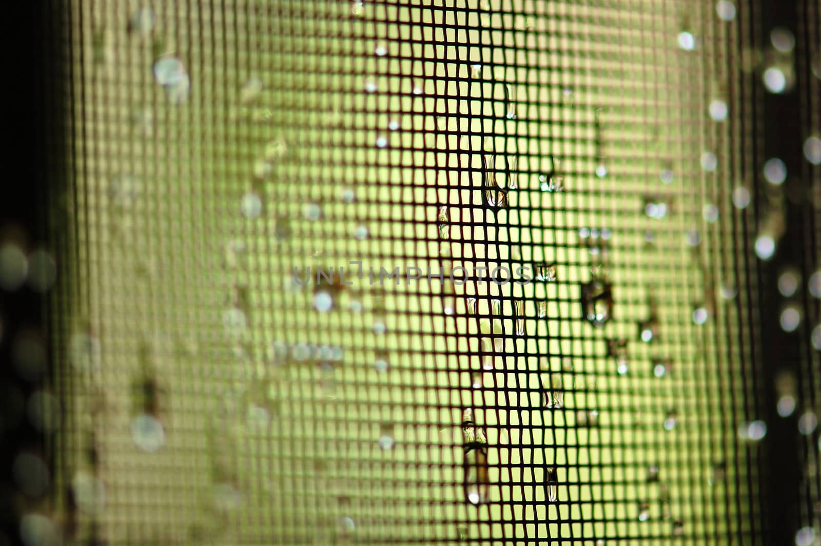 Macro of raindrops on wire mesh netting. Selective focus.