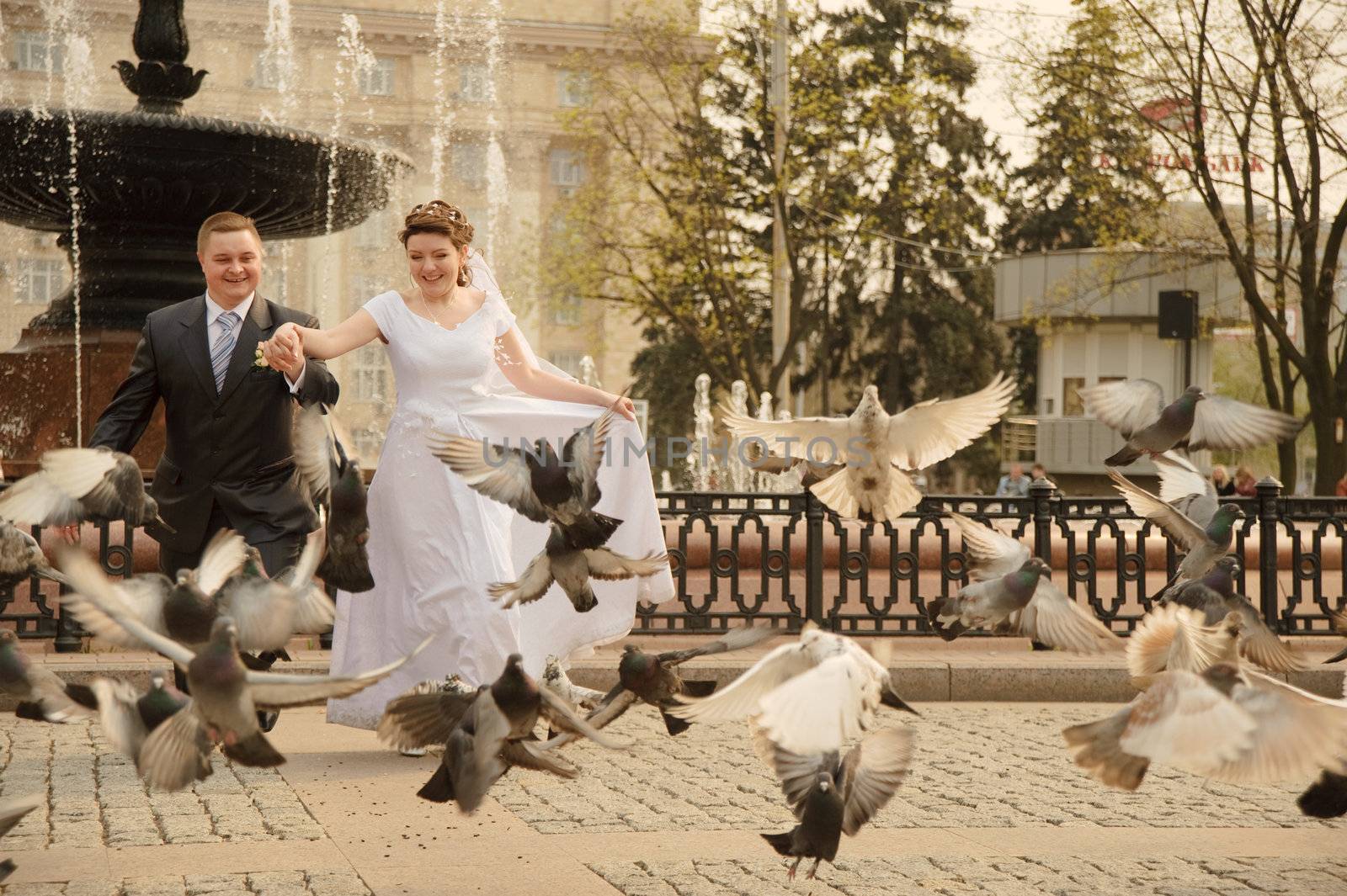 Newly-married couple. Pair young men in wedding day