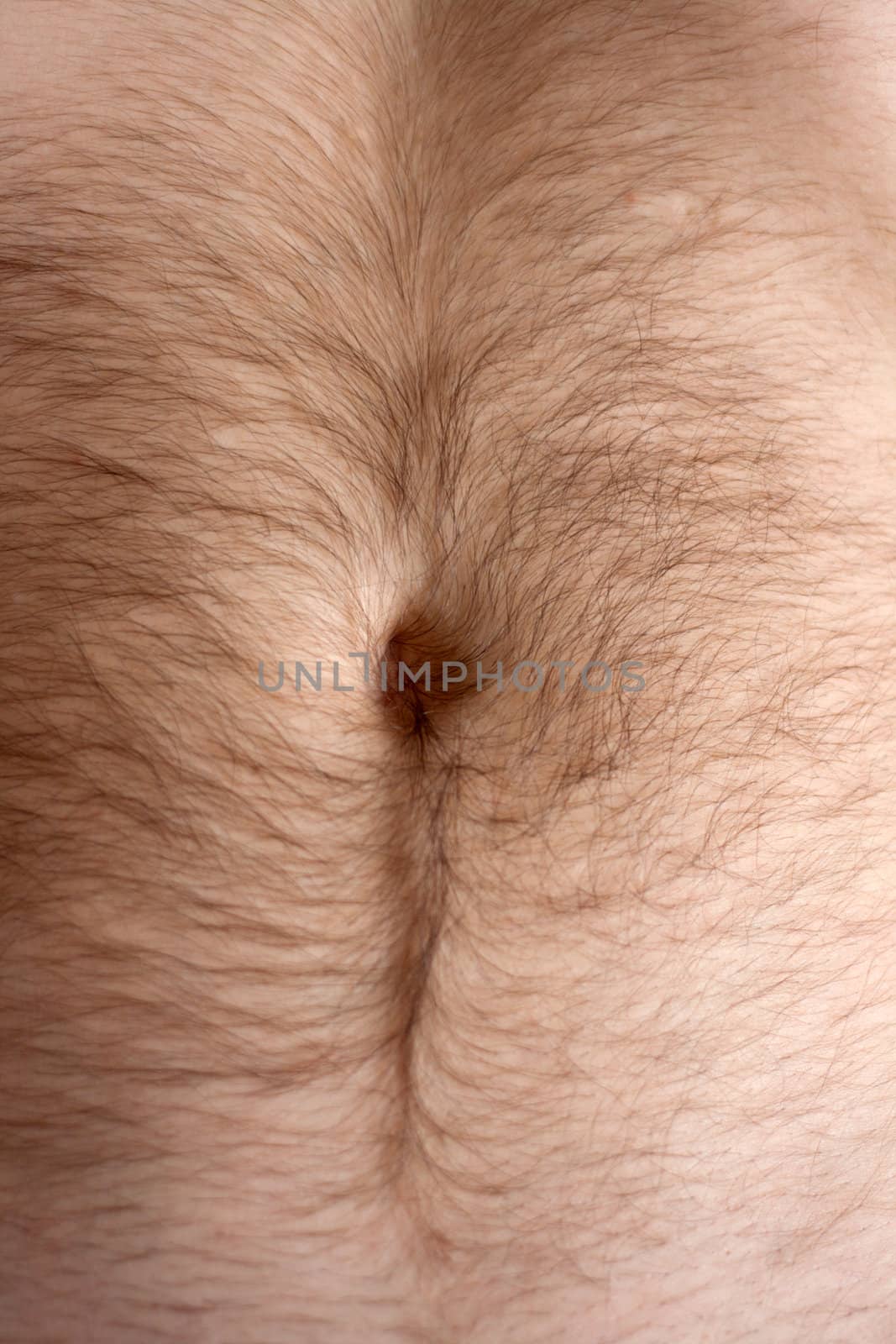 Male hairs belly, bellybutton in light from window
