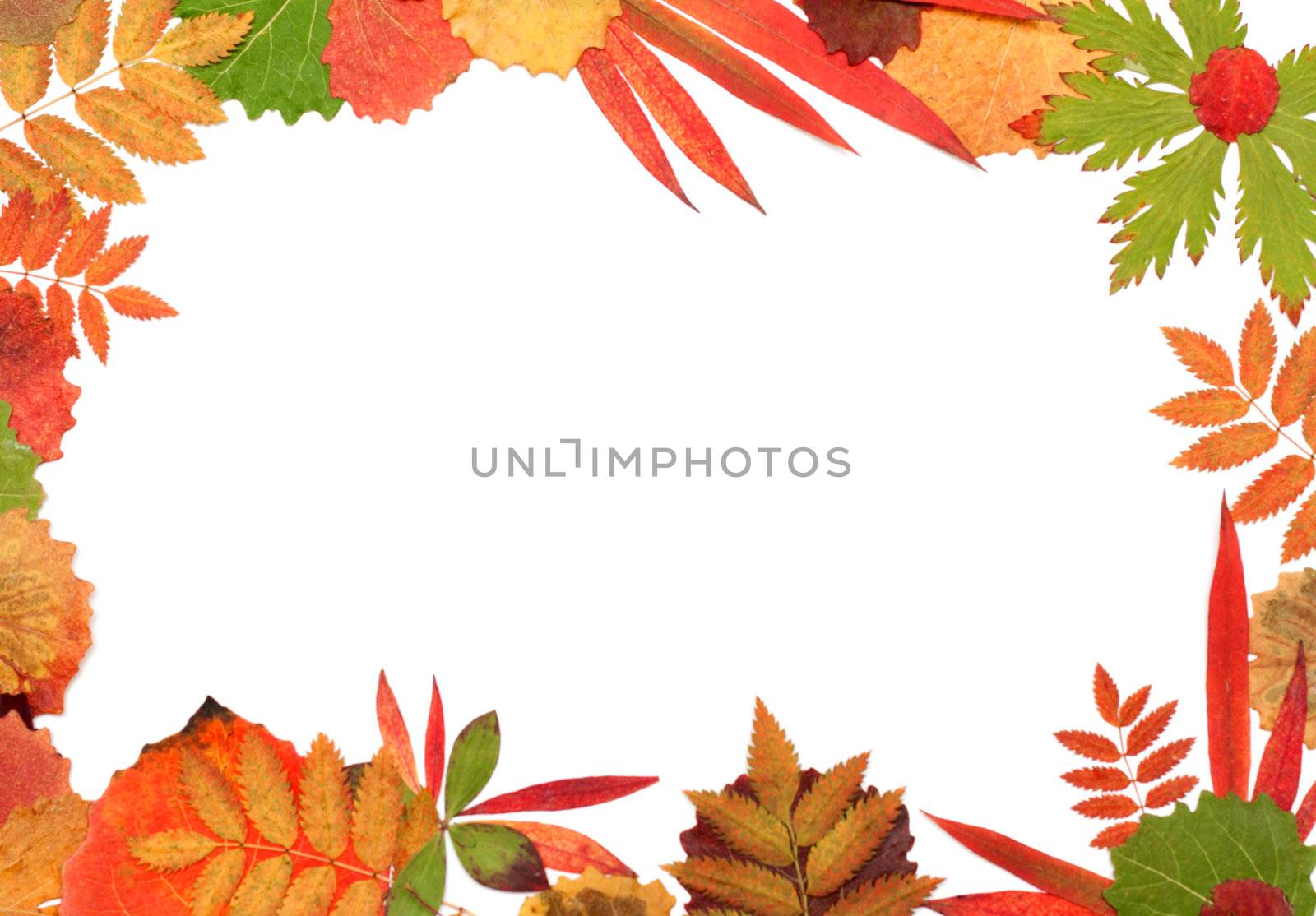 Frame from autumn sheet on white background