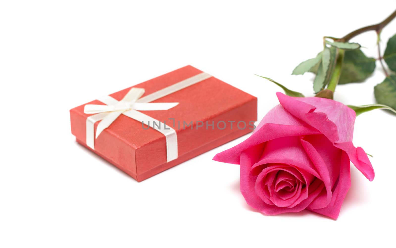 Red gift box and flower rose on white background