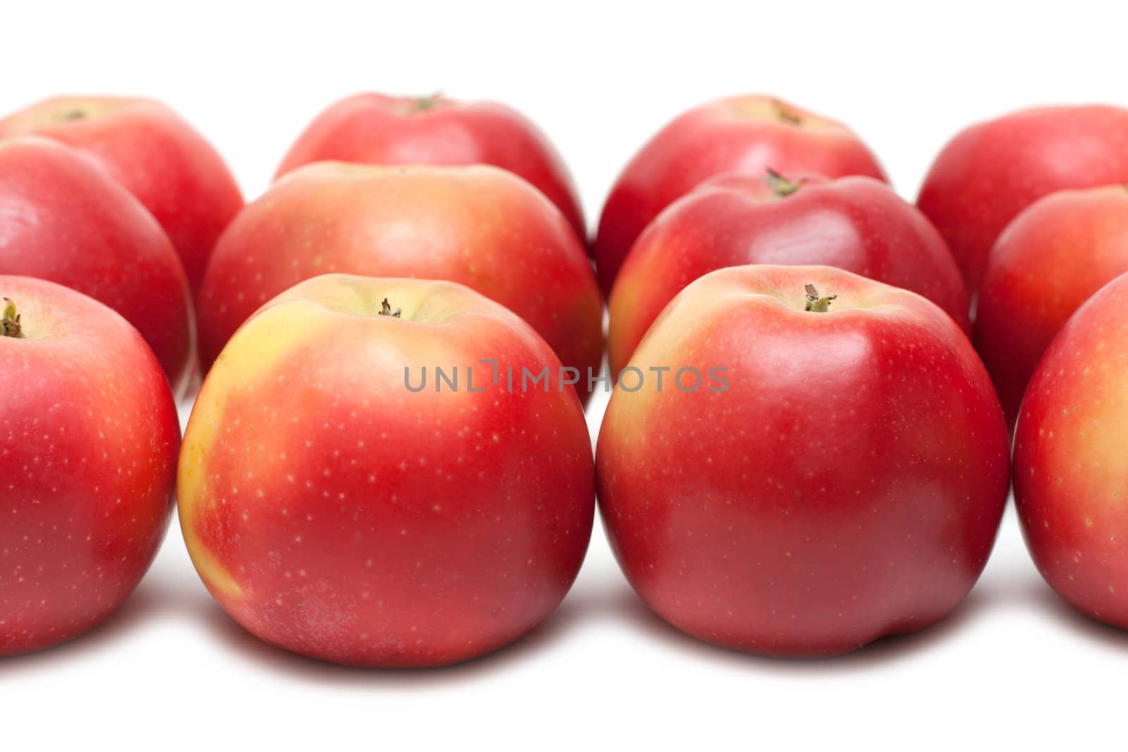 Red apple put in rows on white background