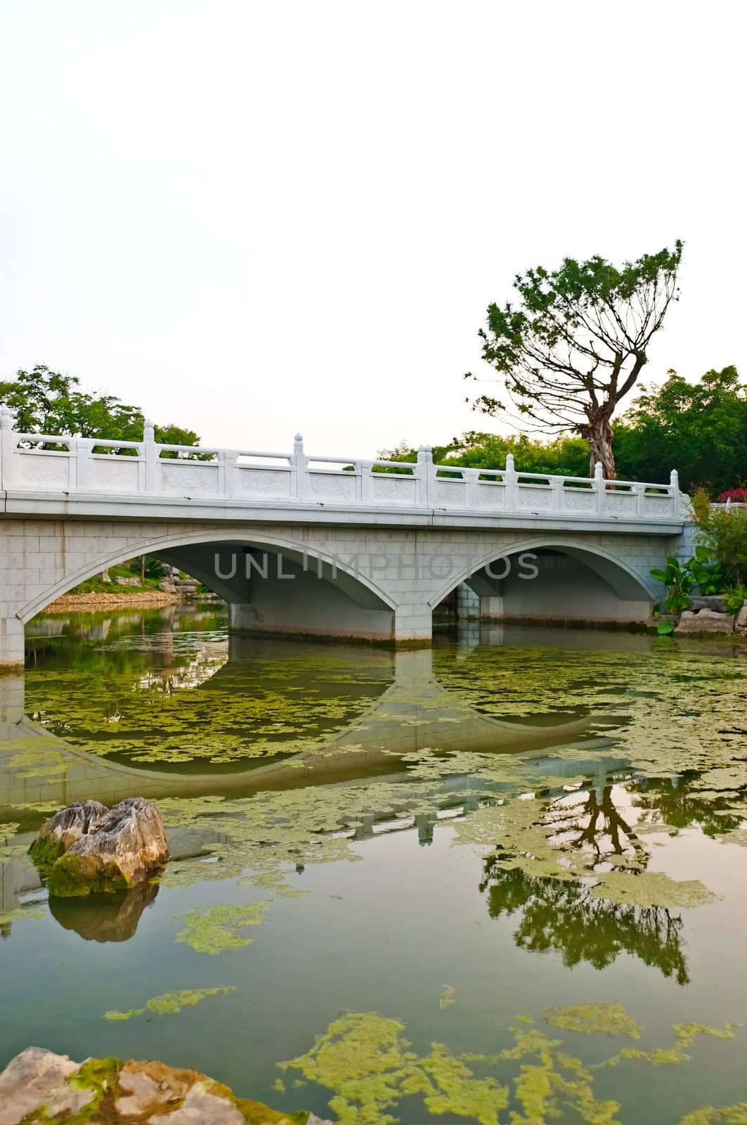 Reflection of a Chinese Stone bridge on pond river,  in public garden