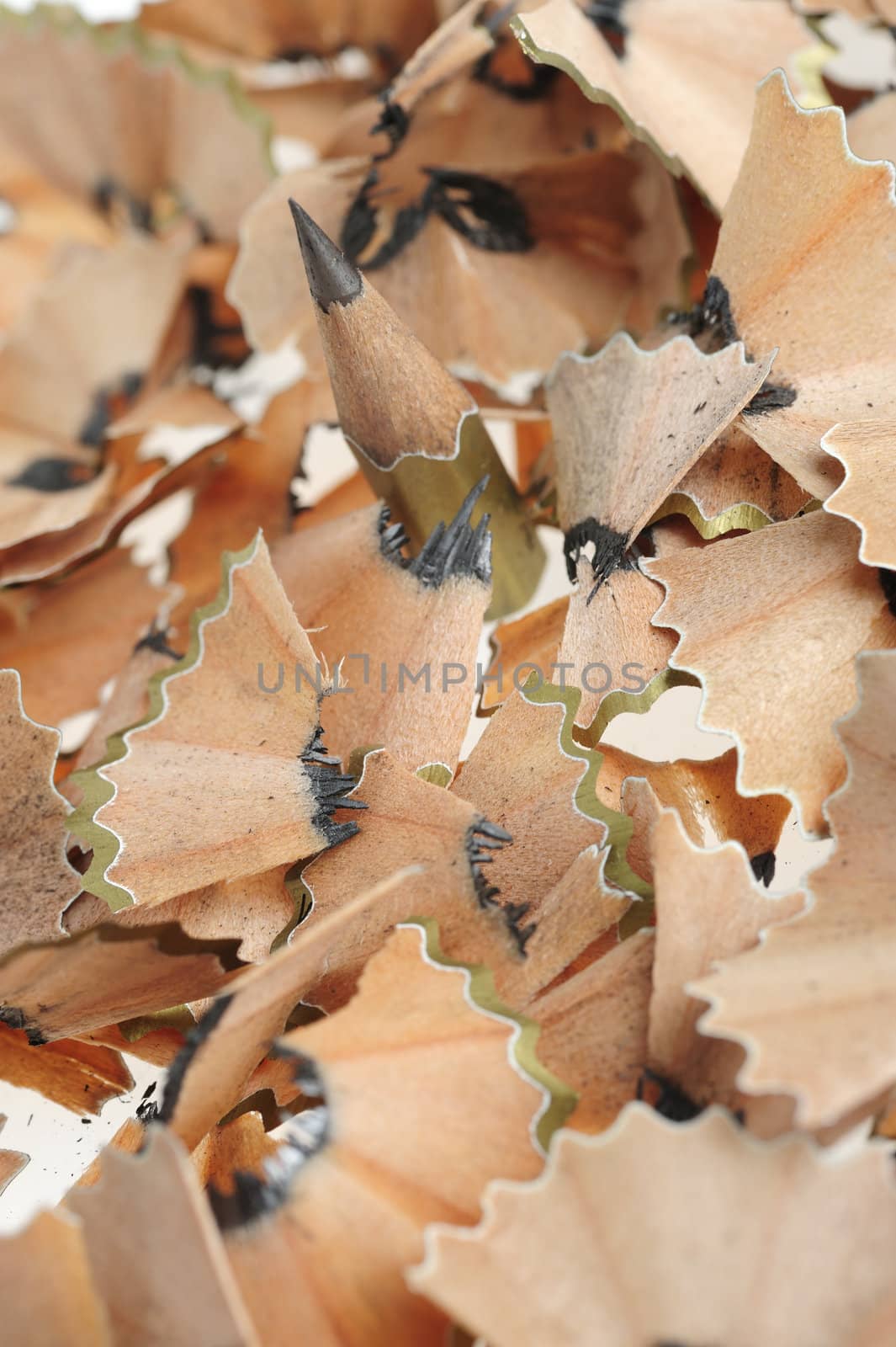 Pencil in an environment shavings. A photo close up