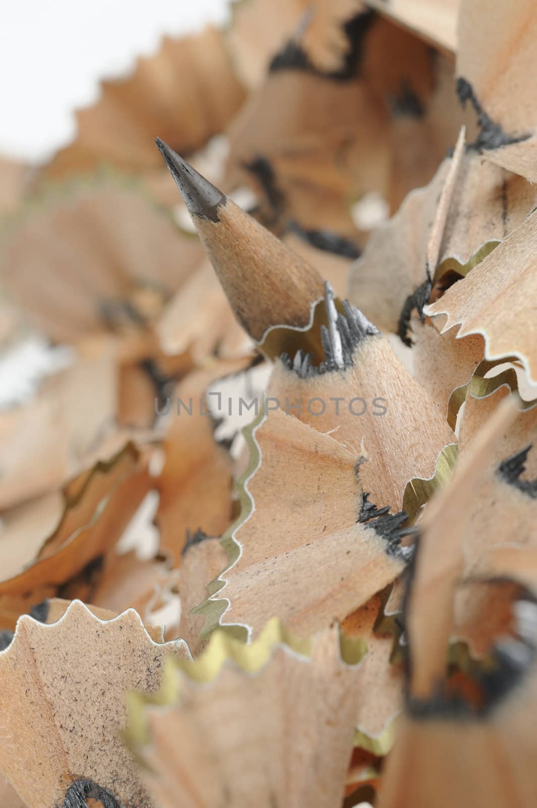 Pencil in an environment shavings. A photo close up