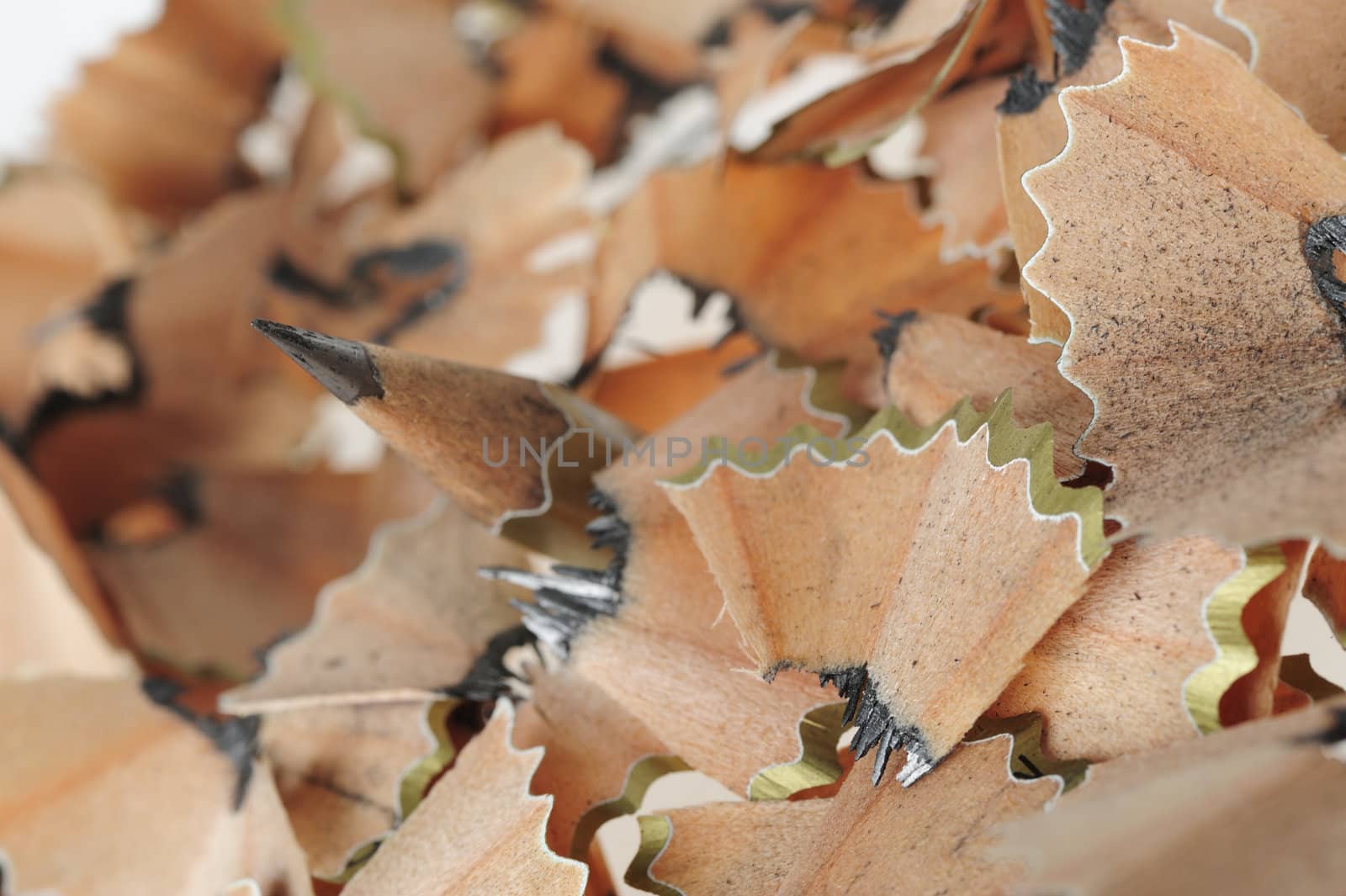 Pencil in an environment shavings. A photo close up