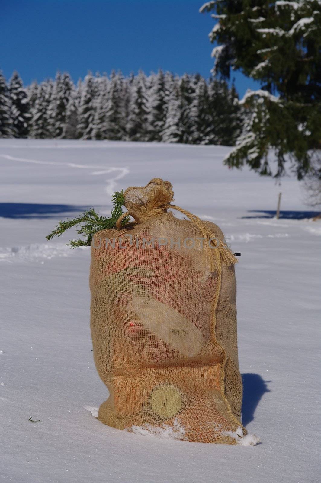 A bag from Santa Claus in a snowy landscape