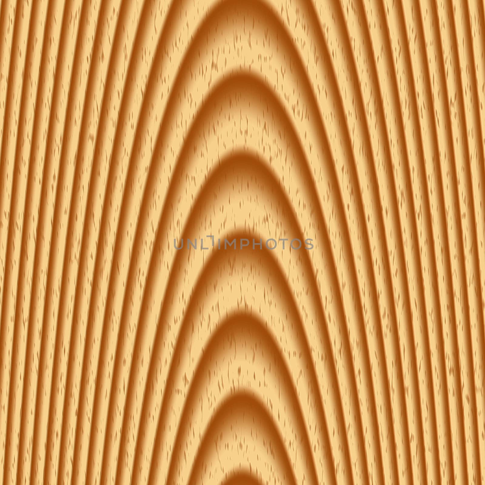 wood texture. The detailed fragment of a wooden board